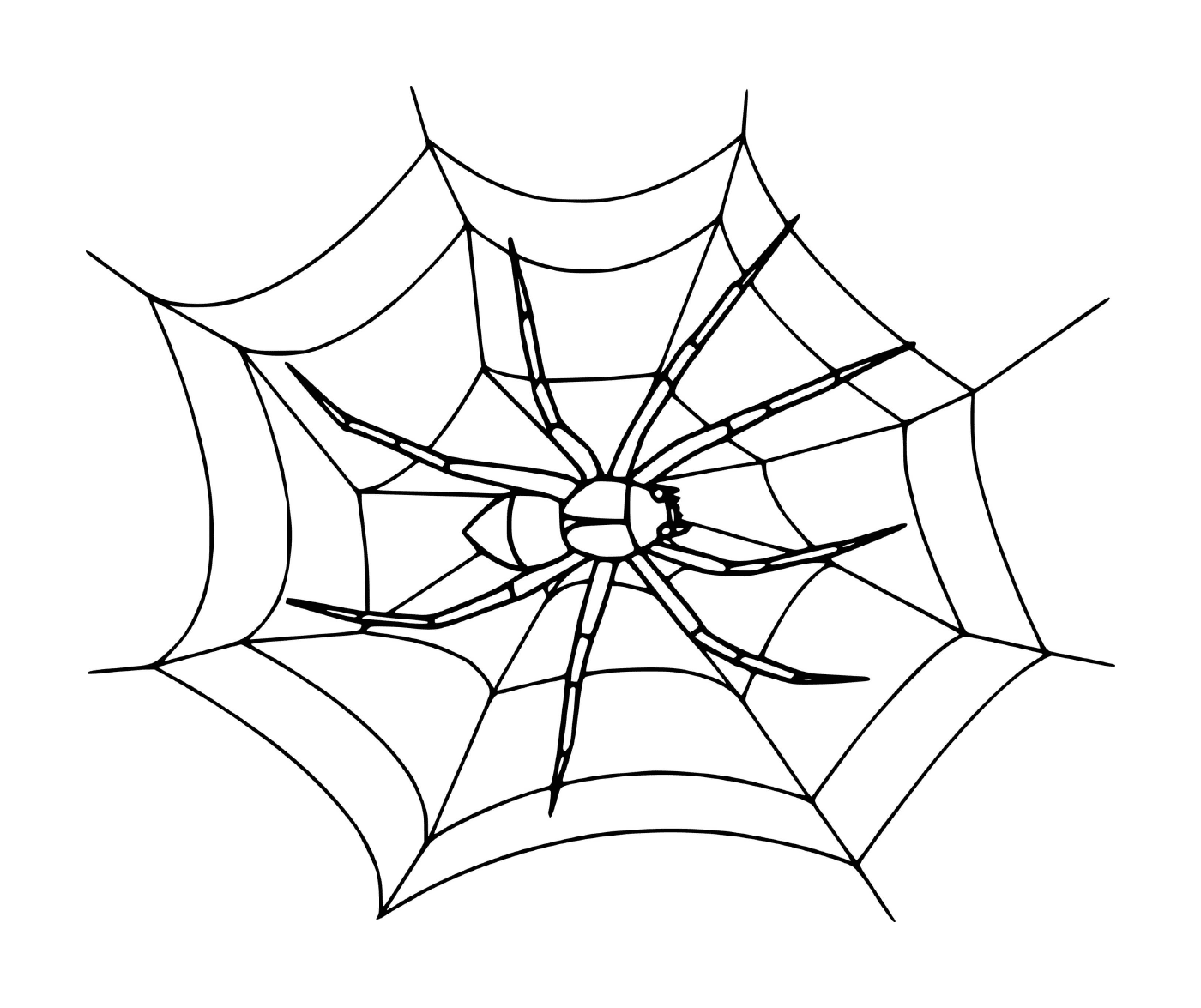  A realistic spider web 