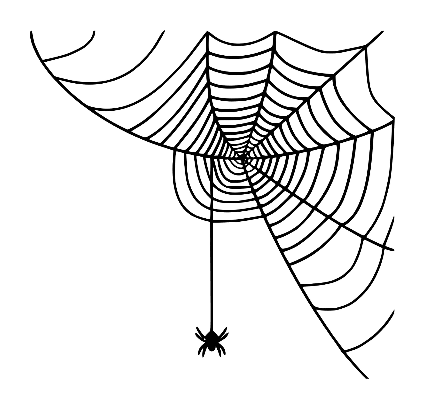  Ein kleines Spinnennetz, das von einer Spinne gewebt wird 