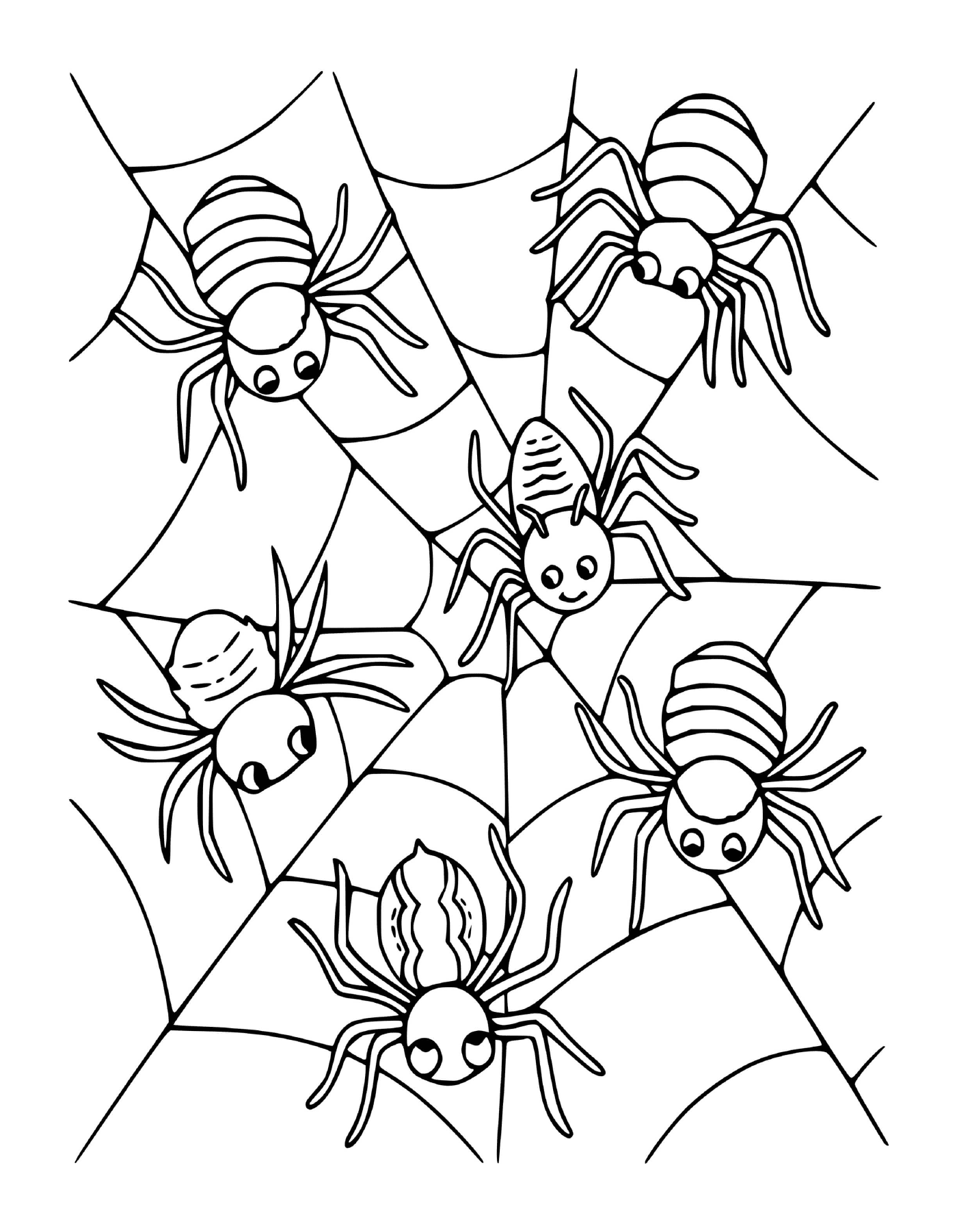  Eine Gruppe von vier Spinnen, die auf einem Netz sitzen 