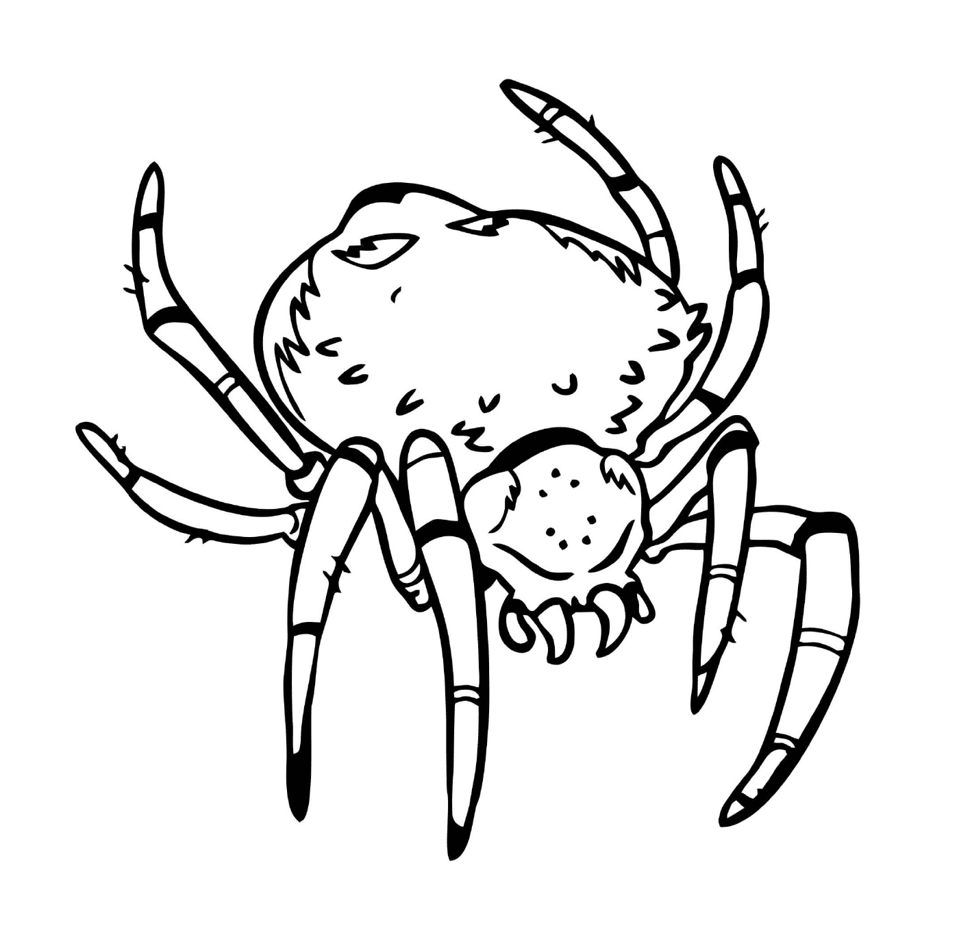  Una araña aterradora con un cuerpo grande 