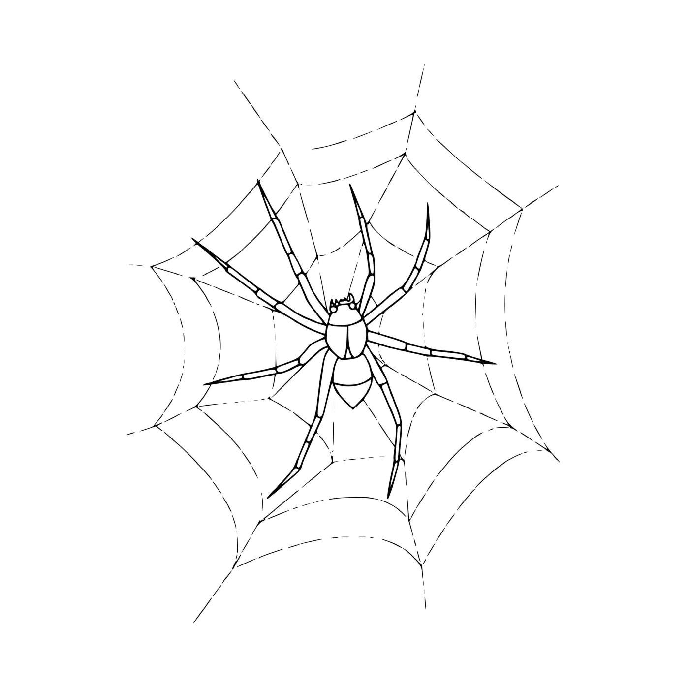  A spider sitting on a web 