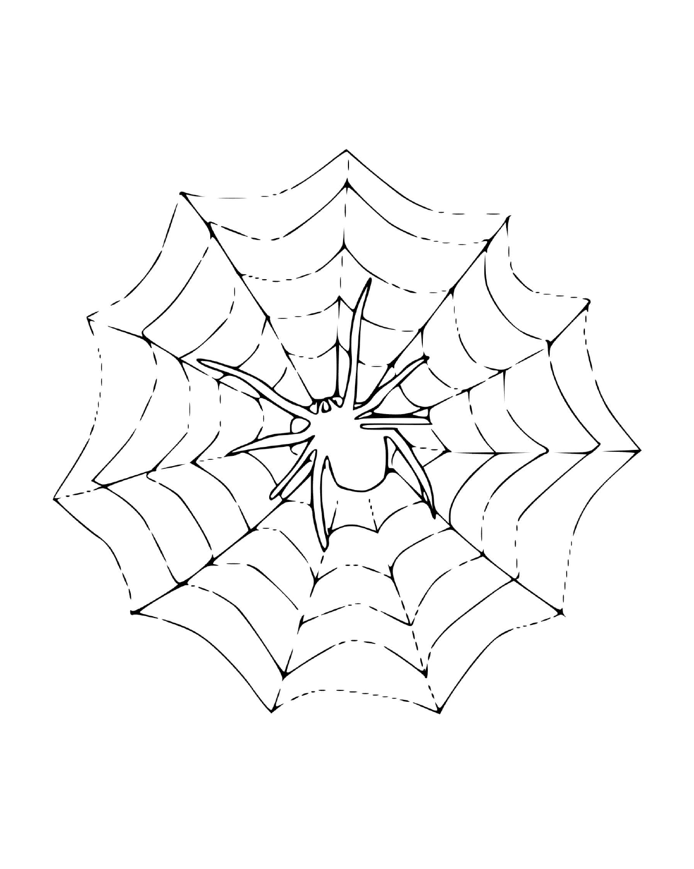  Eine Spinne sitzt auf einem Netz 