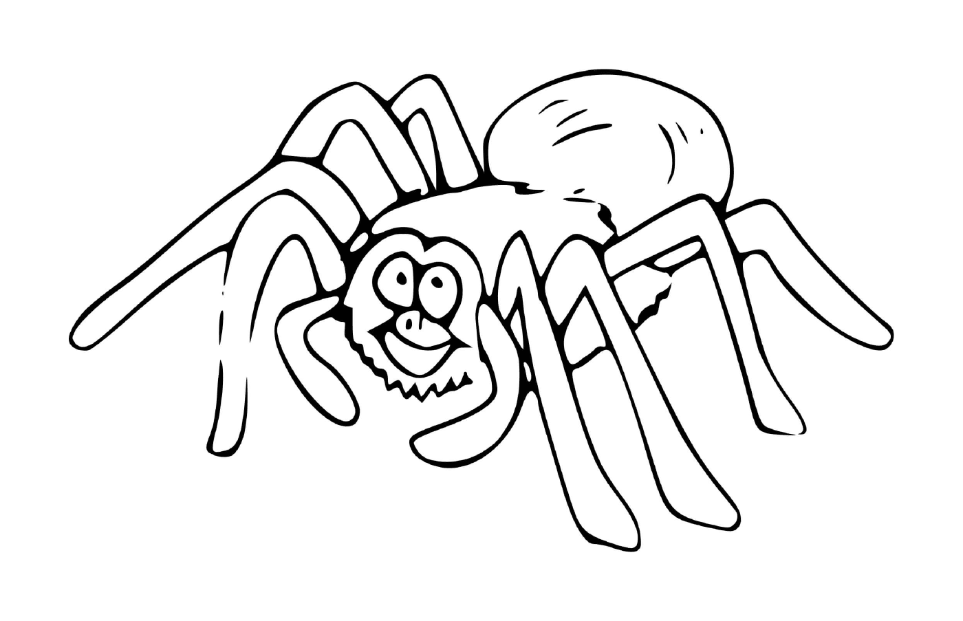  A spider 