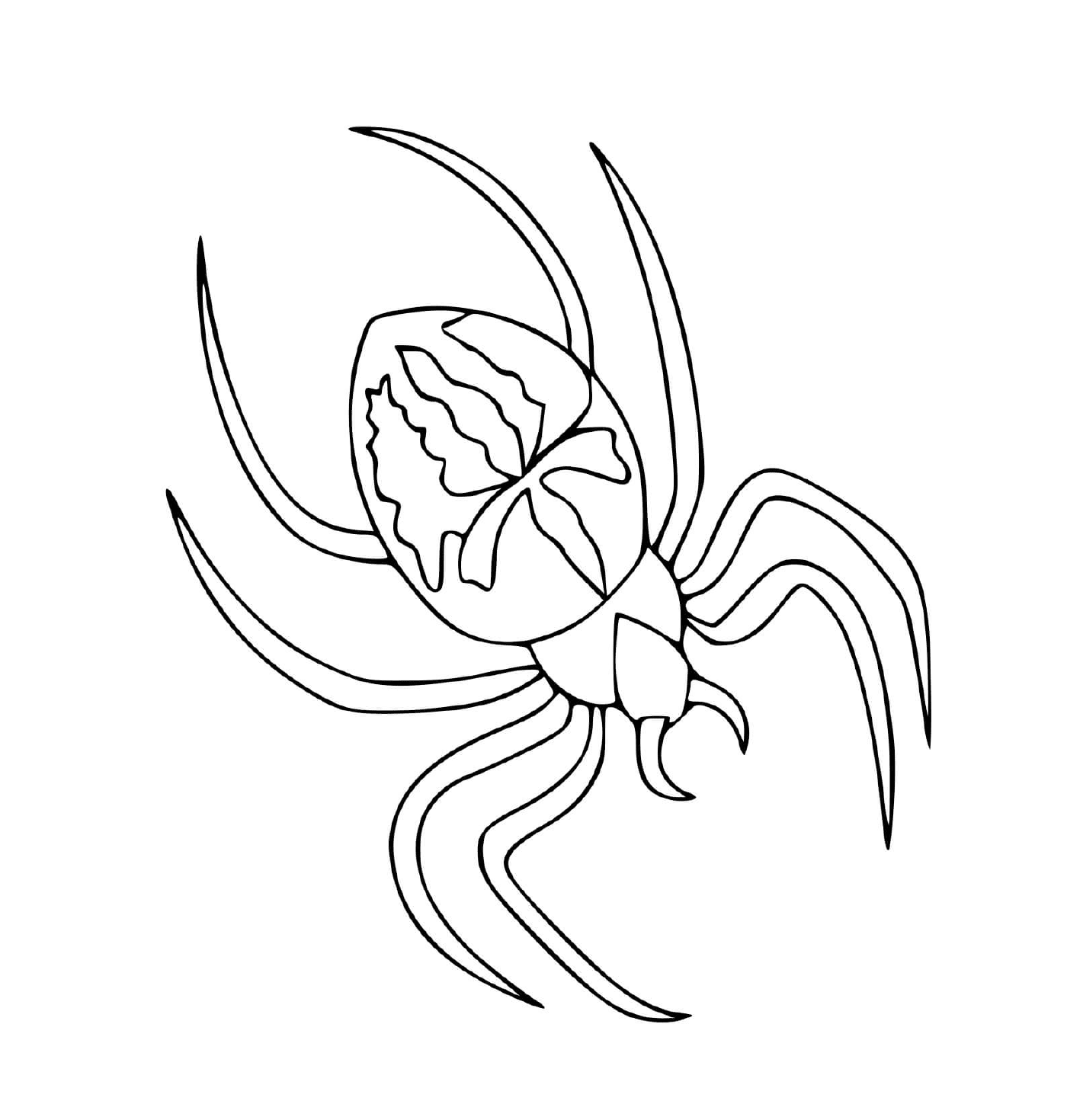  Una araña 