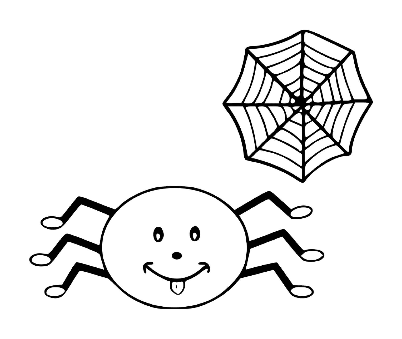  Eine Spinne und ein Netz 