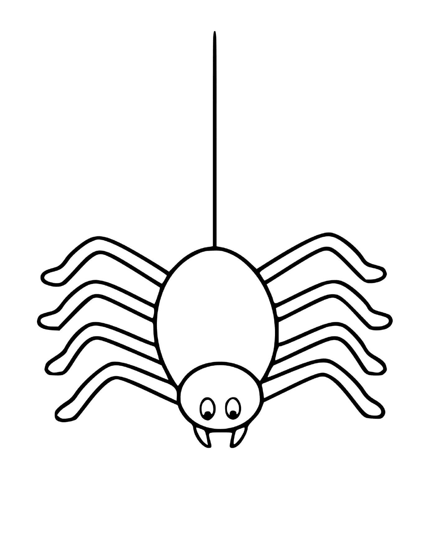  A spider coming down 