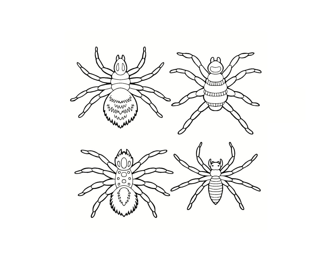  Eine Reihe von verschiedenen Spinnen 