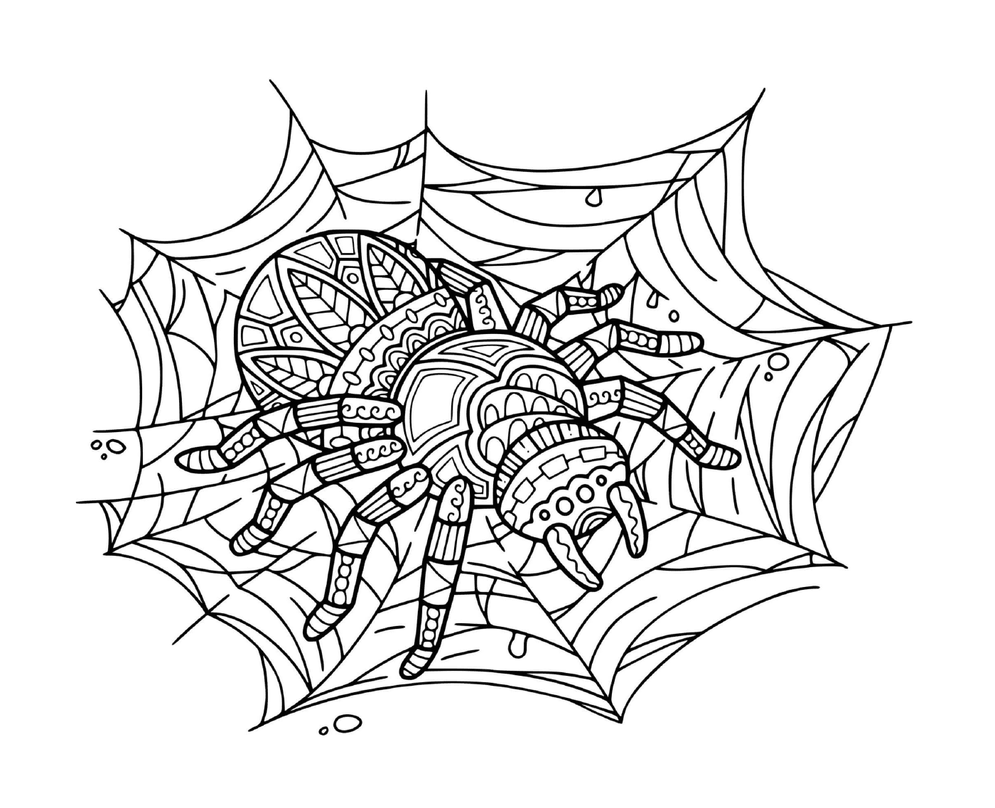  Eine Spinne sitzt auf einem Mandala-Entspannungsnetz 