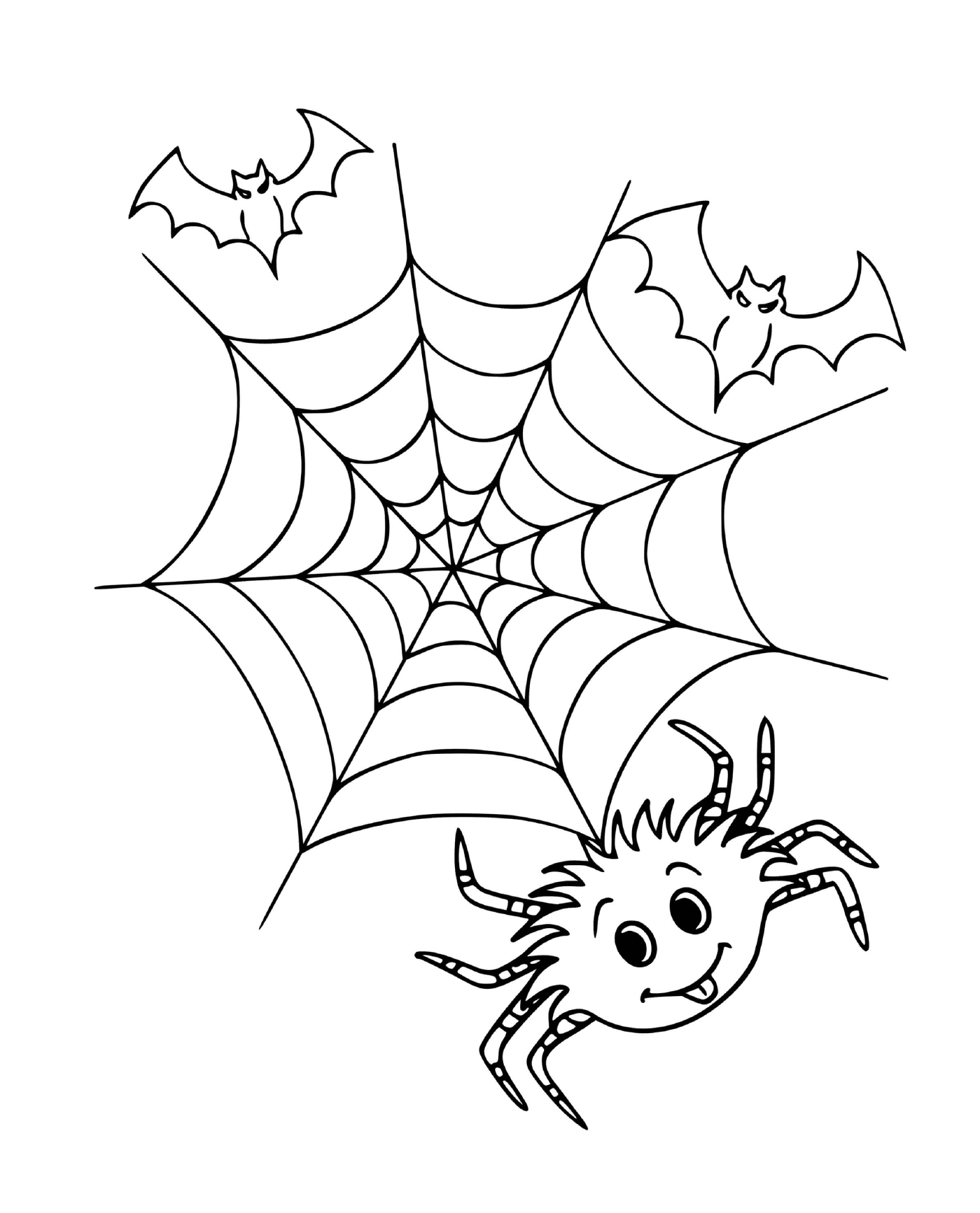 A spider and a bat 