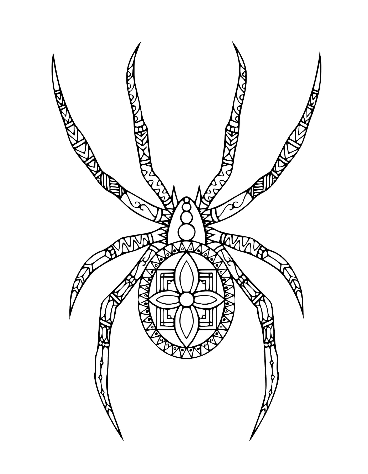  A spider in a doodle style 