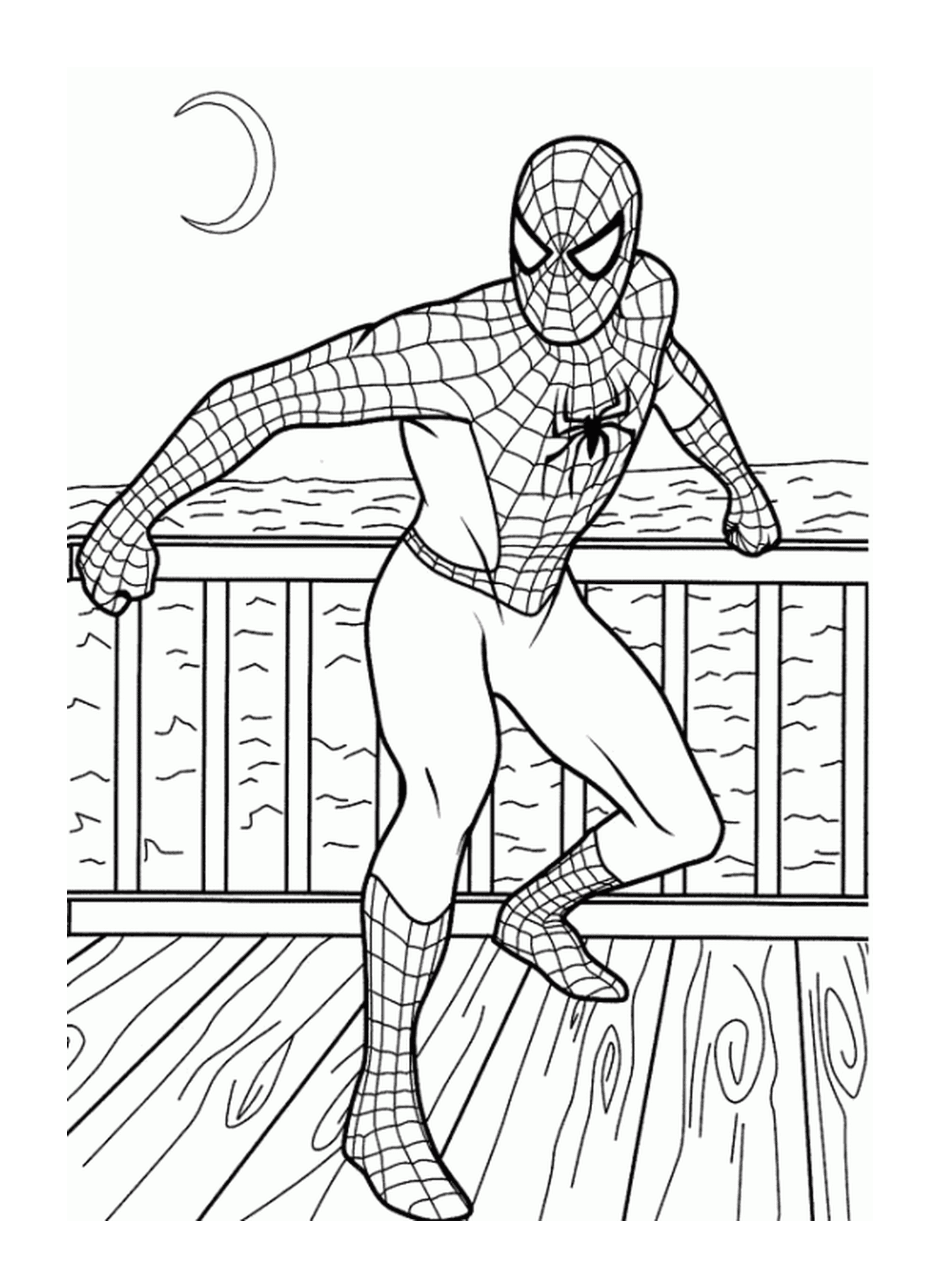  Spider-Man at the beach near the water 