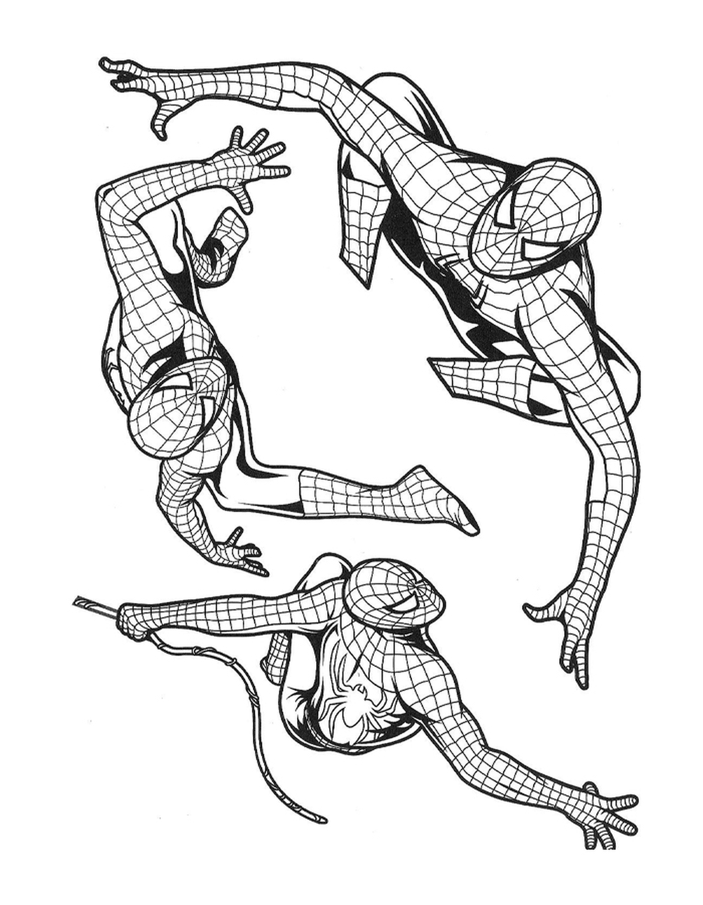  Set di tre disegni in bianco e nero di Spiderman 