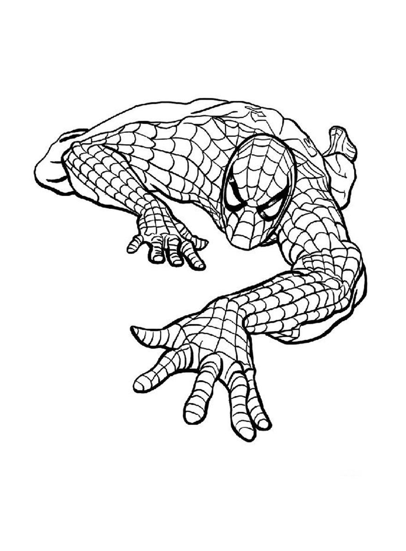 Spiderman represented in drawing 