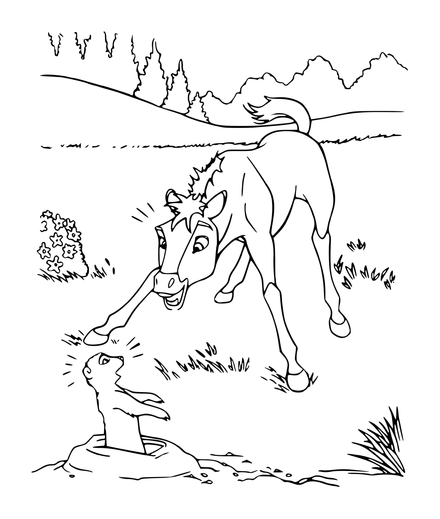 Spirit and a foal play 