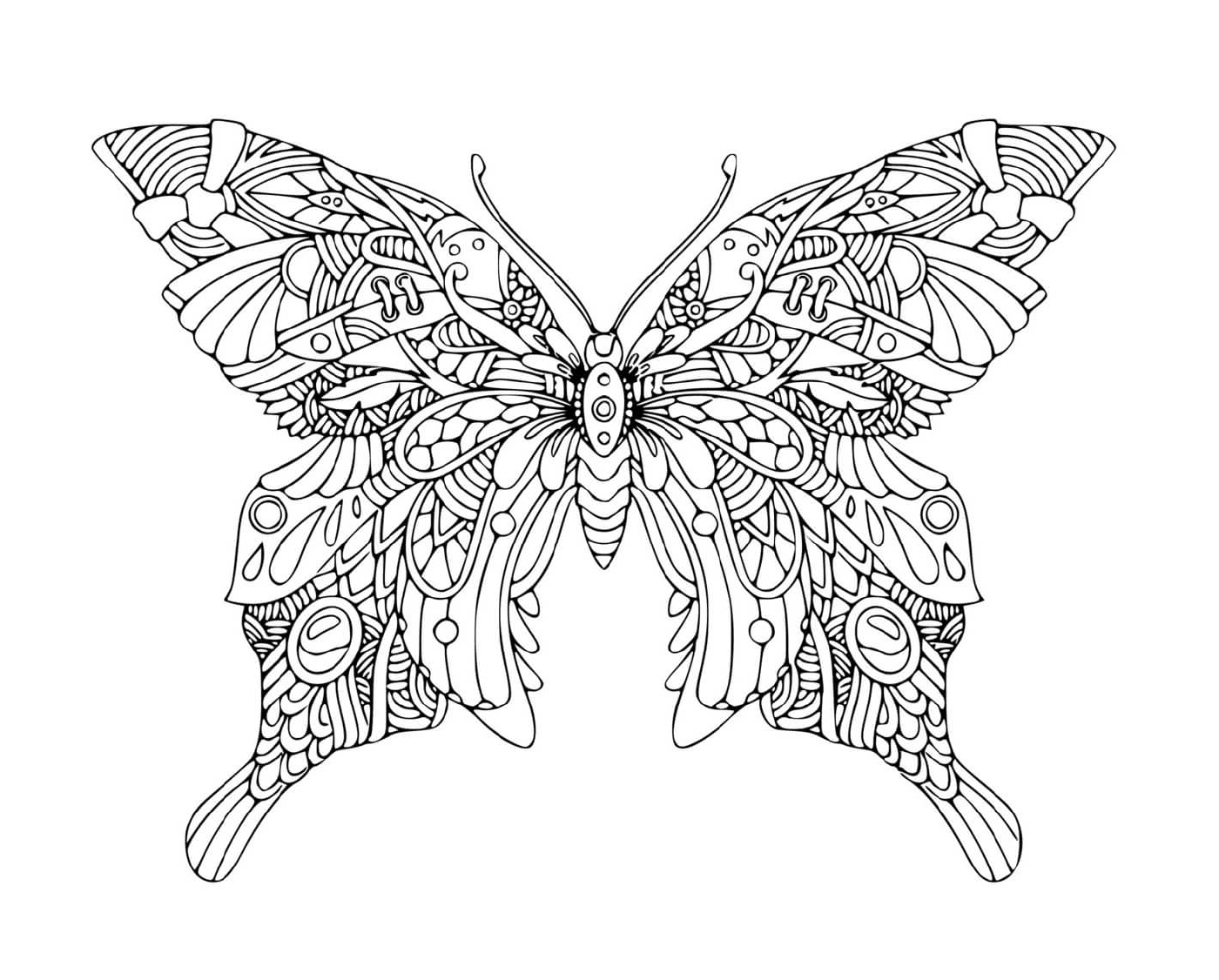  Mandala butterfly, spring delicacy 