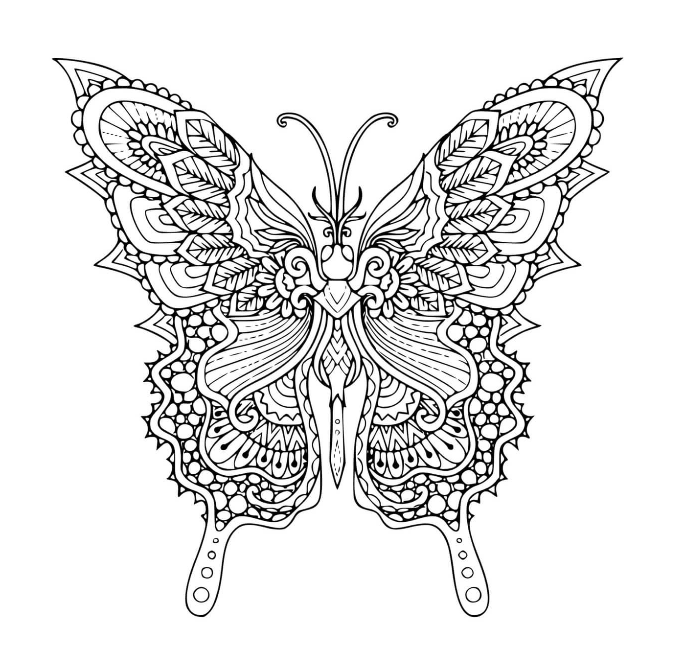  Schmetterlingsfeder, Luftanmut 