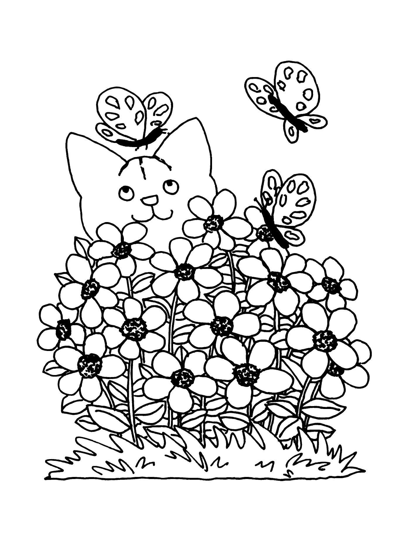  Весенняя кошка, цветочное соучастие 