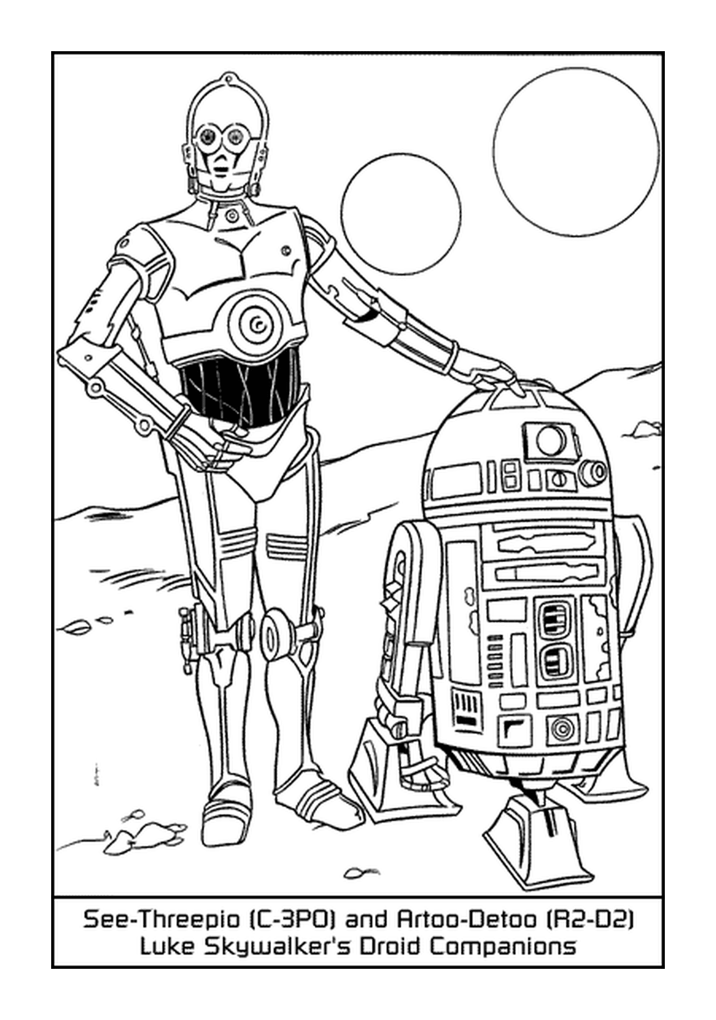  Duo R2D2 and C3P0 