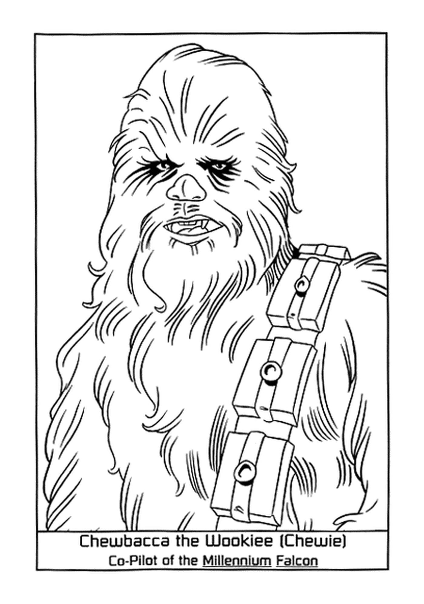  La fedele Chewbacca Wookiee 