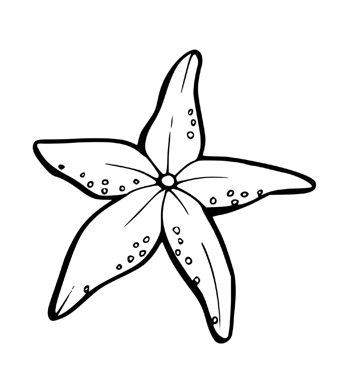  A star of the sea in the shape of flowers 