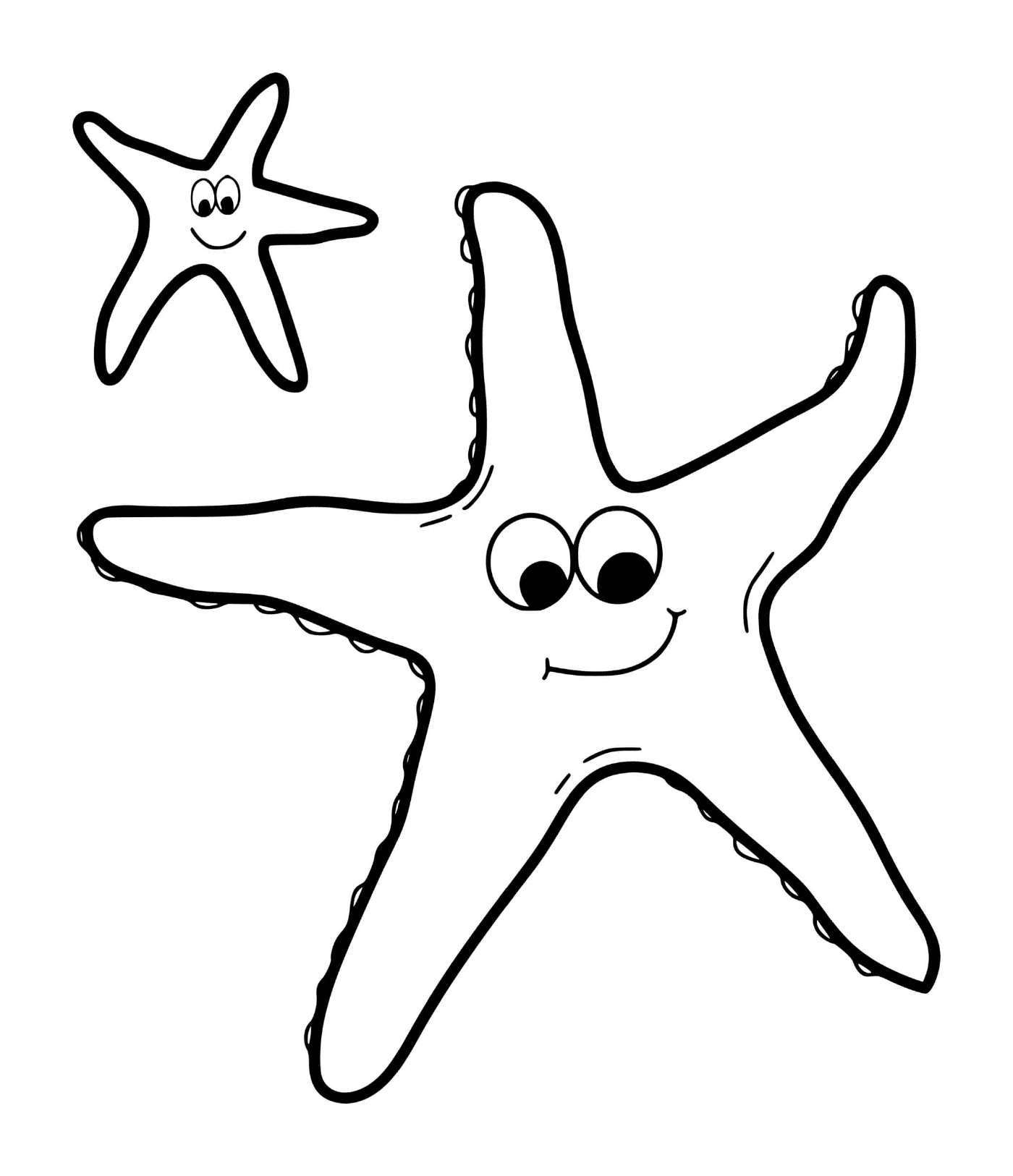  Dos estrellas de mar sonrientes 
