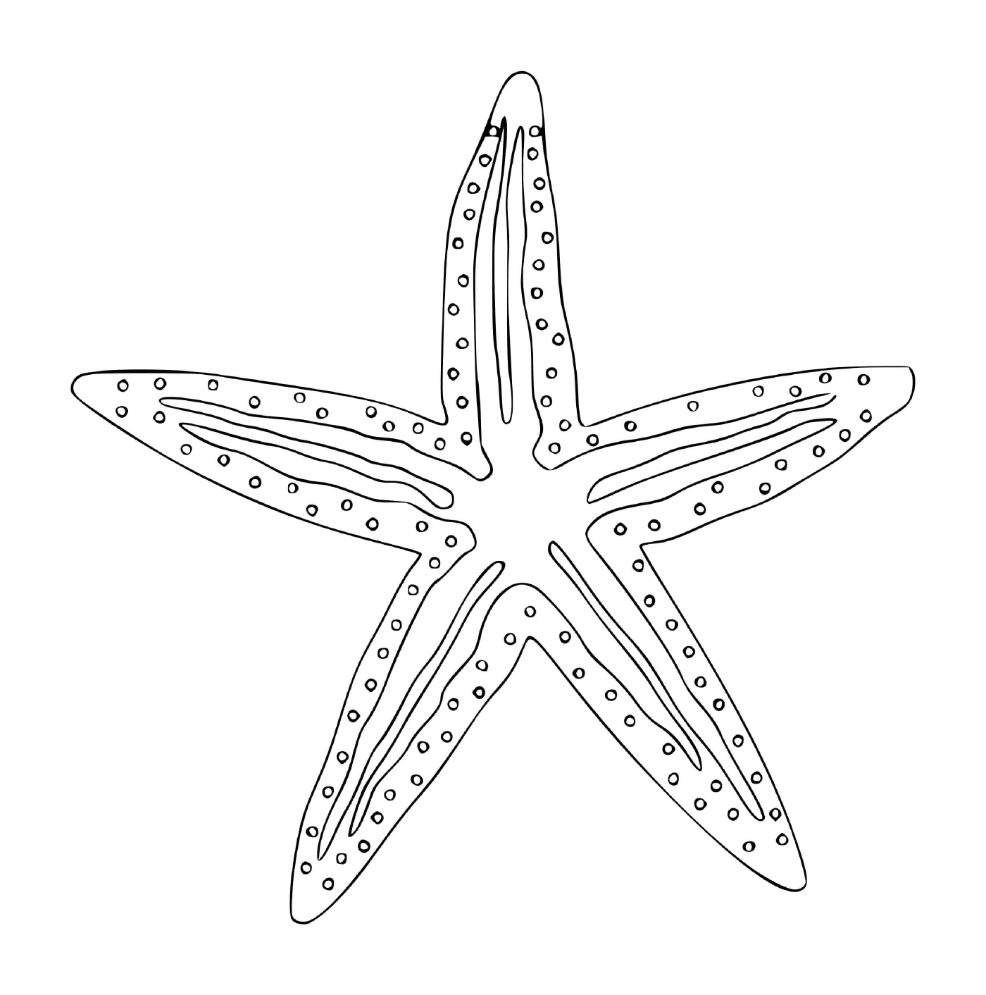  Una estrella de mar en forma de animal marino 