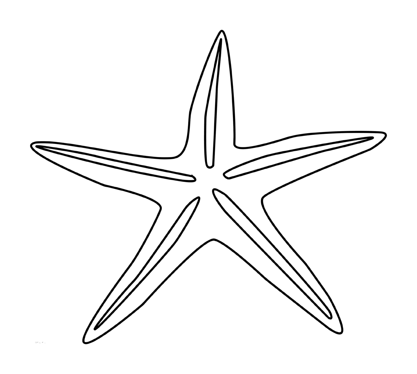  Una stella del mare semplice e facile da disegnare 