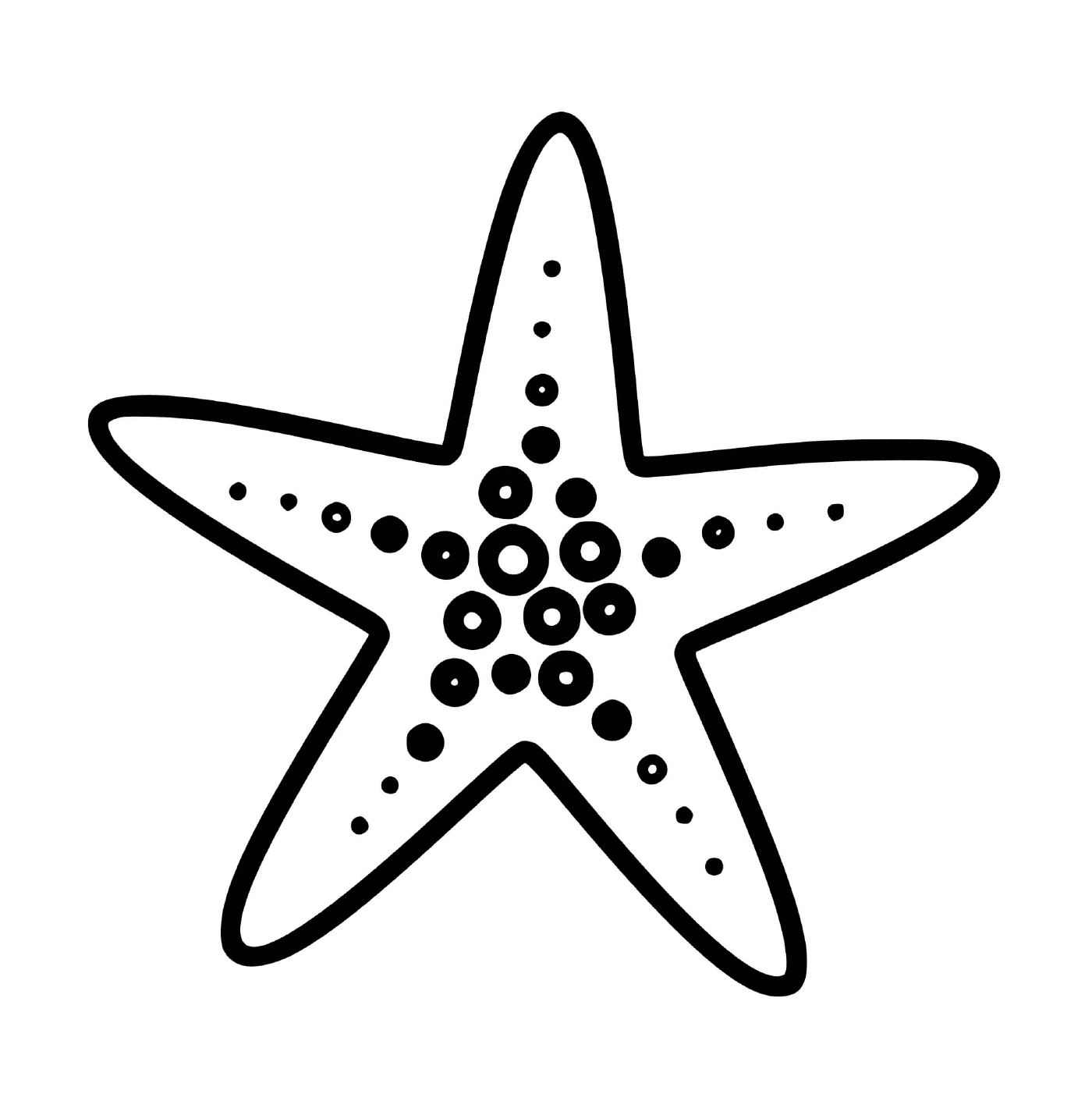  A sea star of the Forcipulatida family 