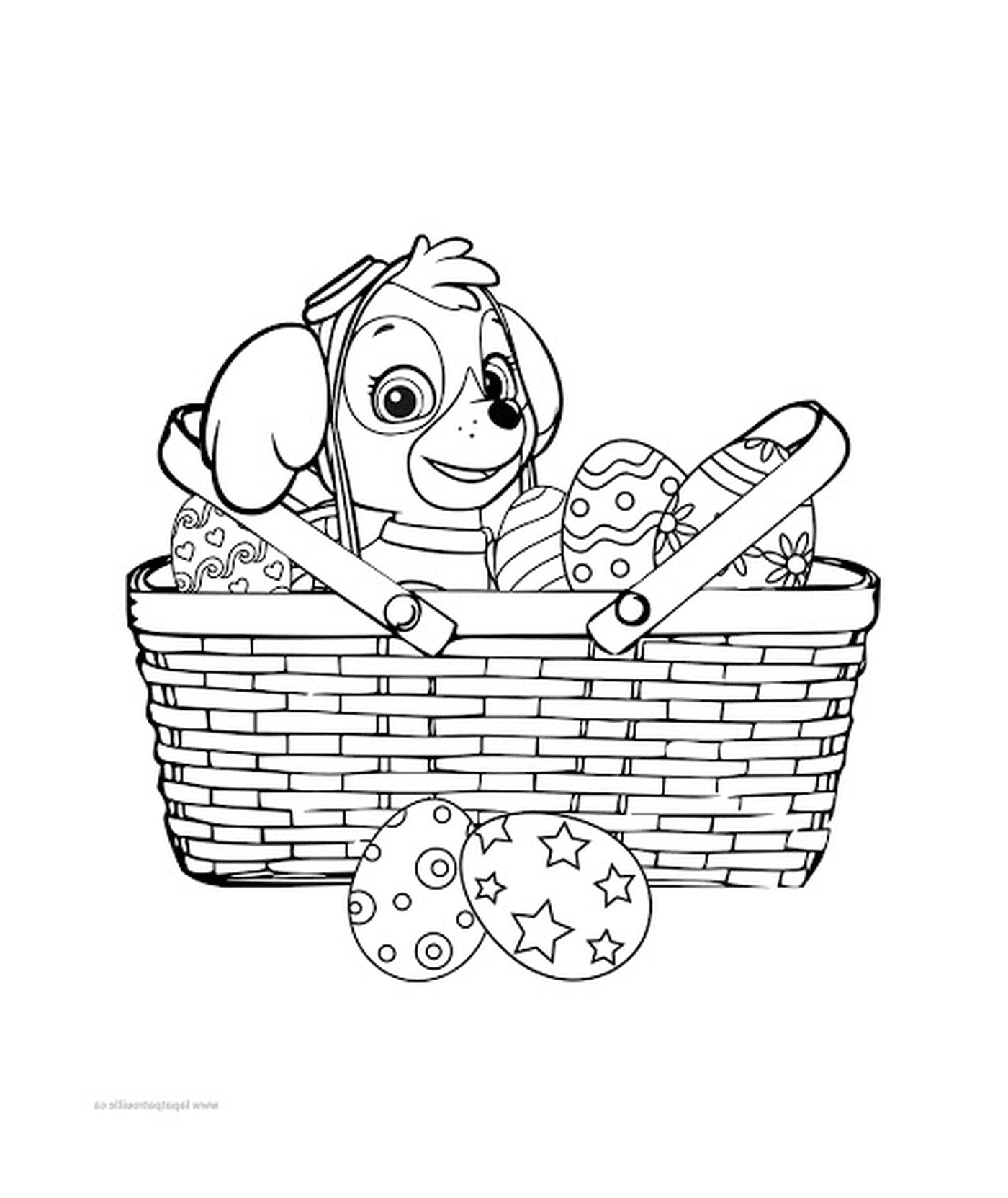  Stella in einem Korb mit Eiern 