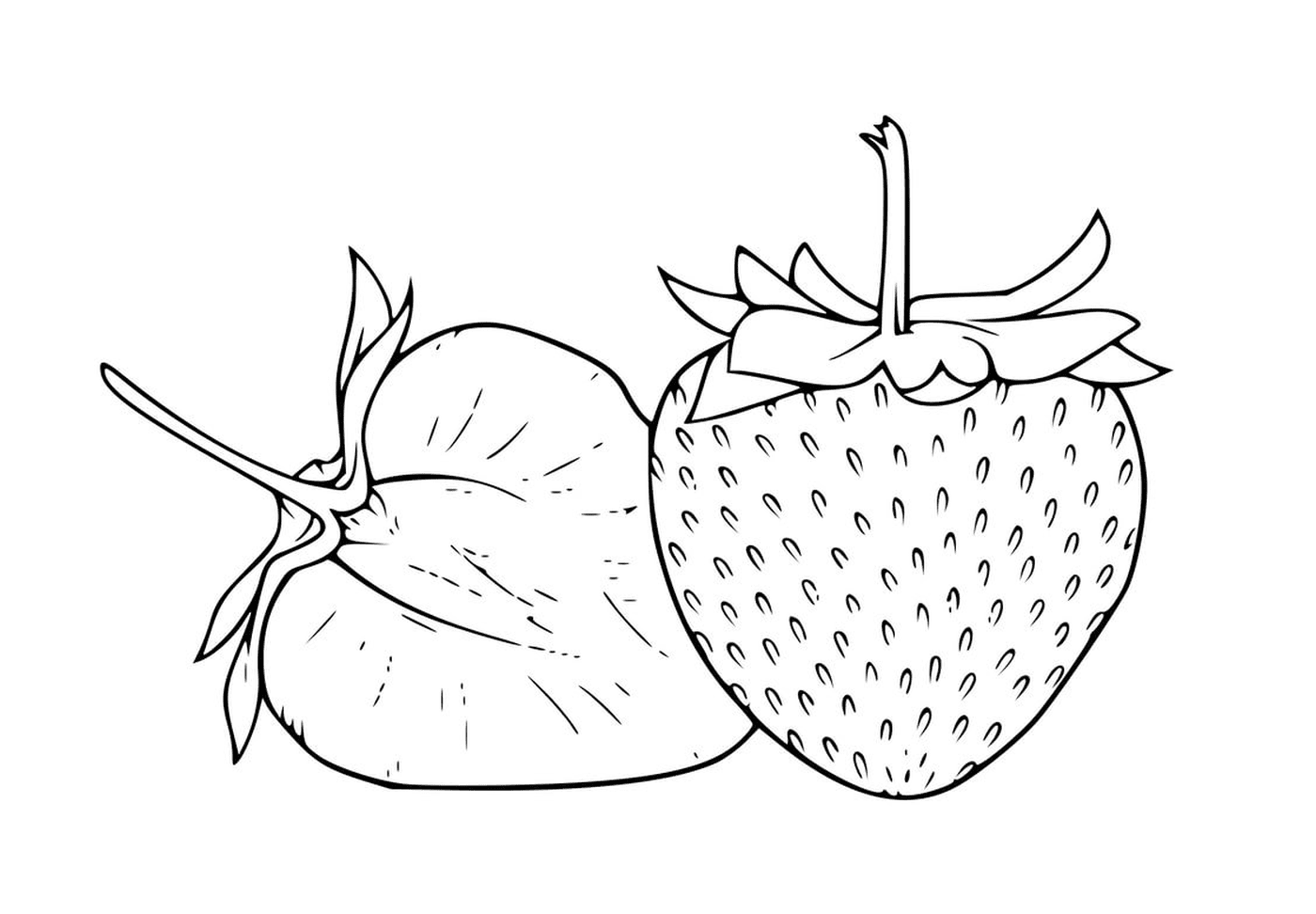 Strawberry and melon cut realistic