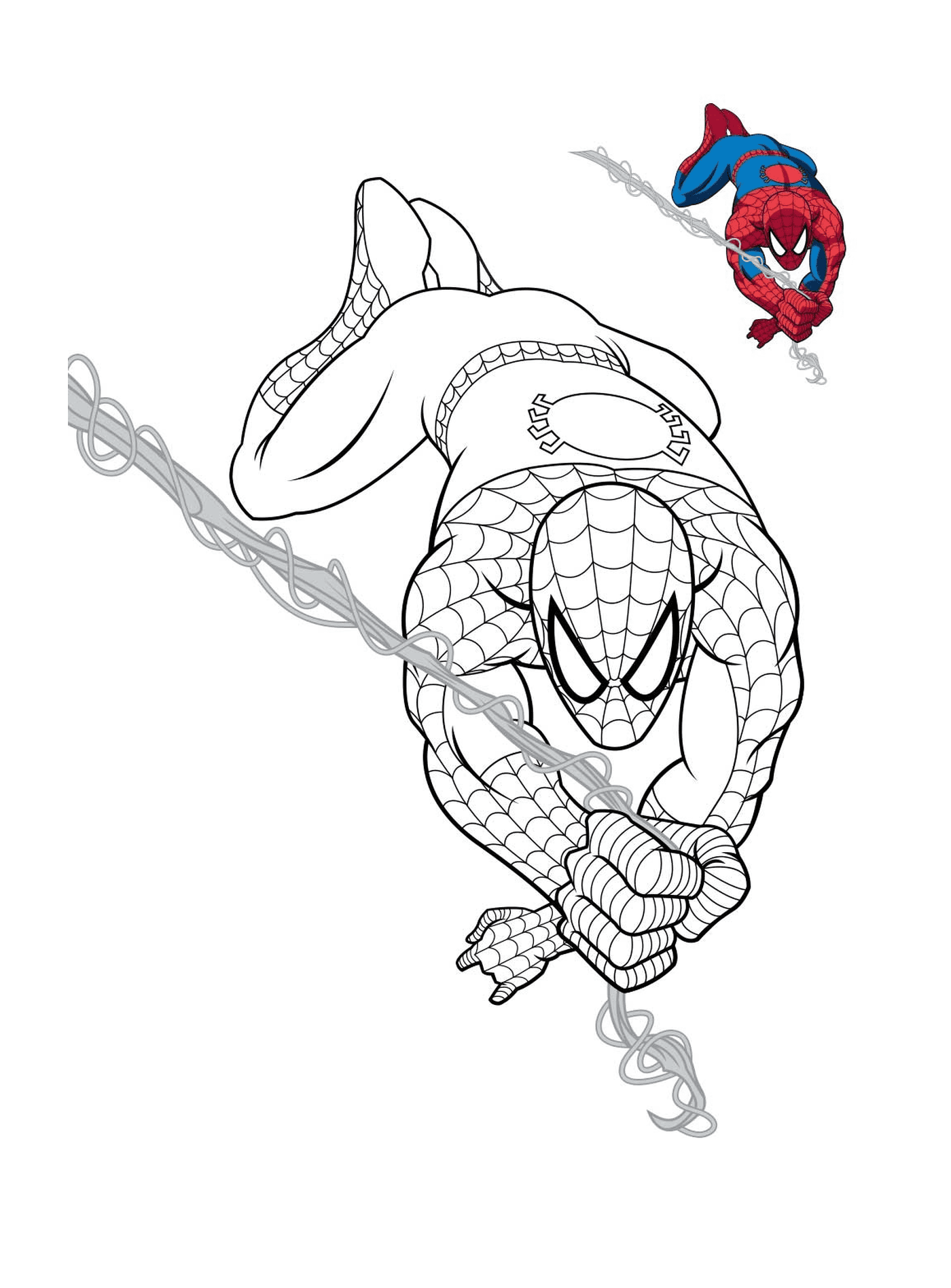  Spiderman hängt an einem Seil 