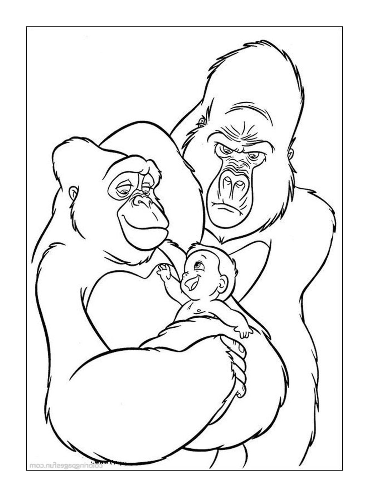  Gorila y gorila bebé 