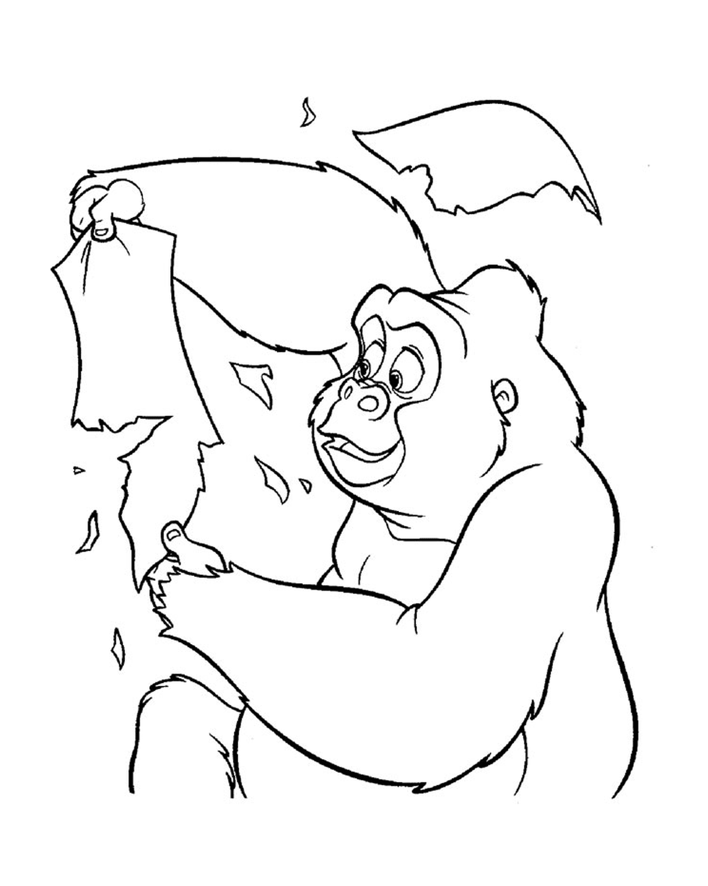  Gorila sosteniendo una hoja de papel 