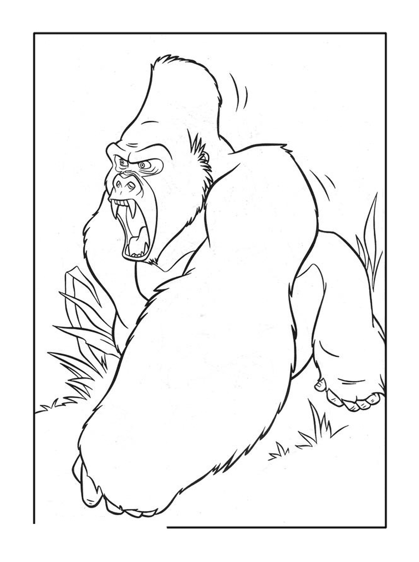  Gorila enojado retumba el suelo 