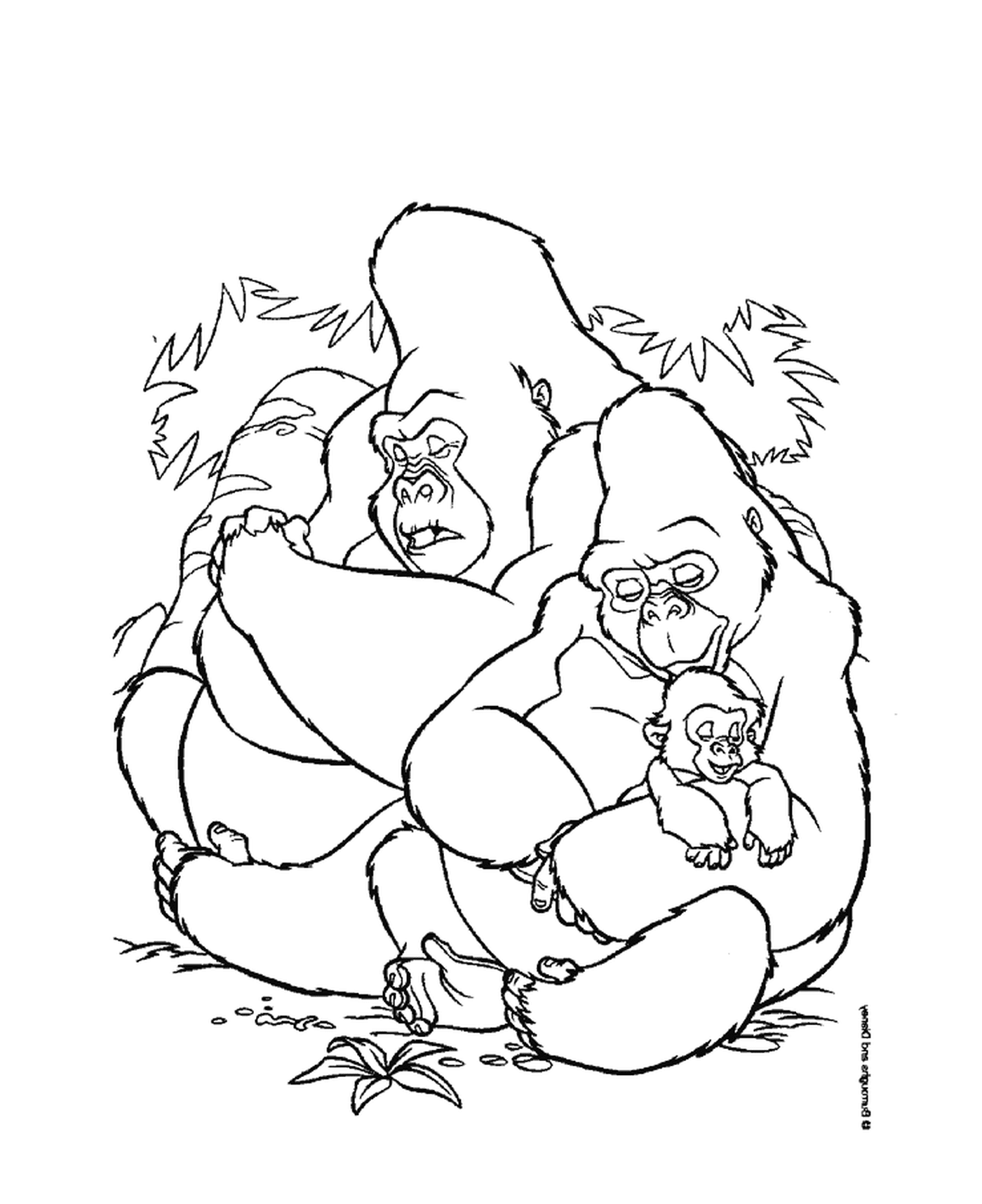  Gruppo di gorilla seduti l'uno sull'altro 