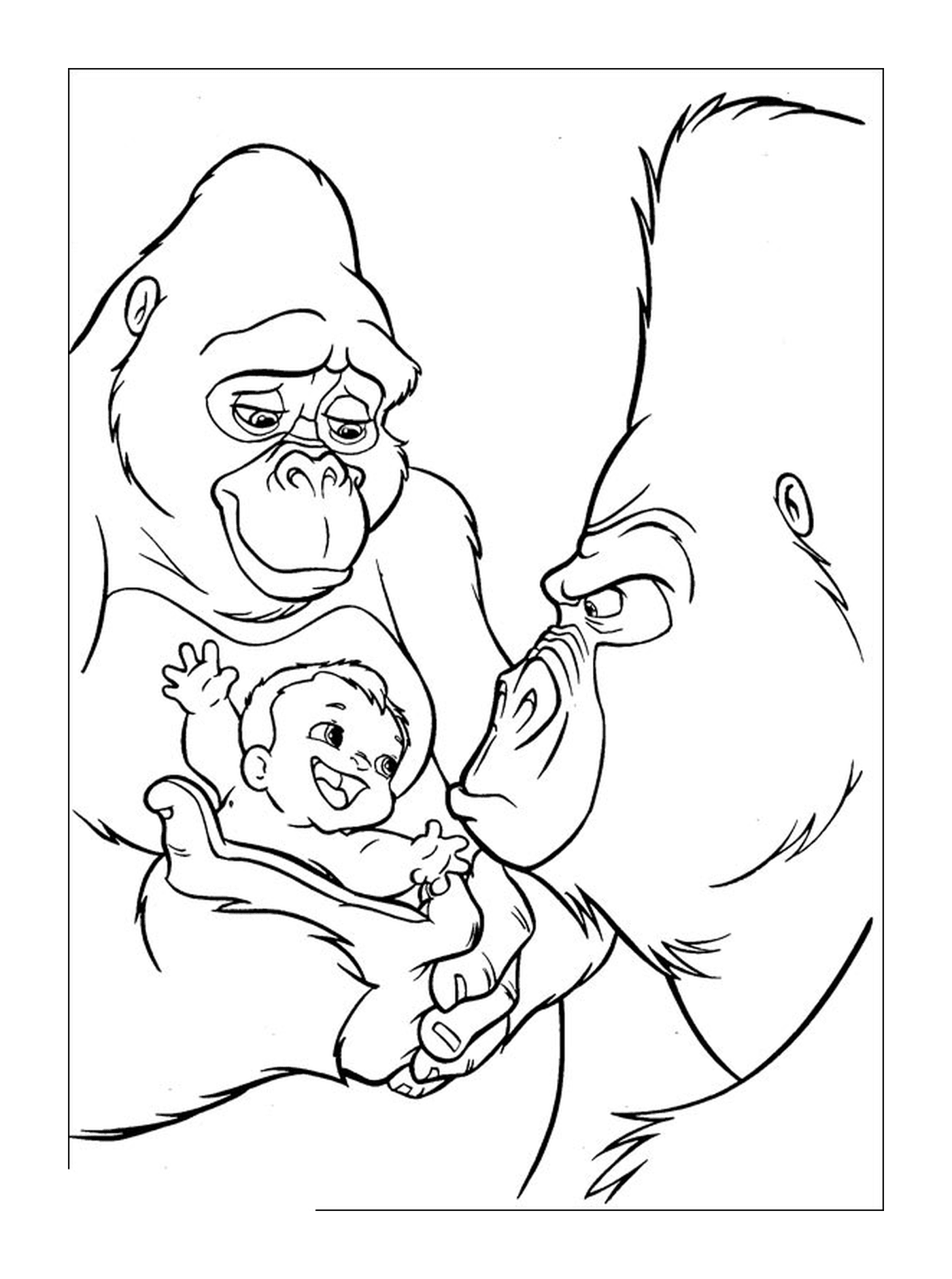  Adult and baby gorilla with a baby 