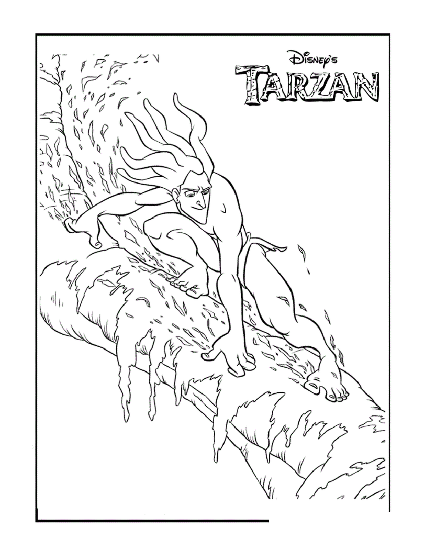  Tarzan entkommt aus den Lianen 
