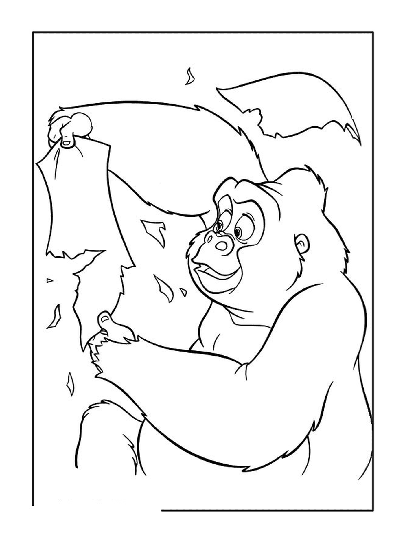  Взрослая горилла, держащая листья 