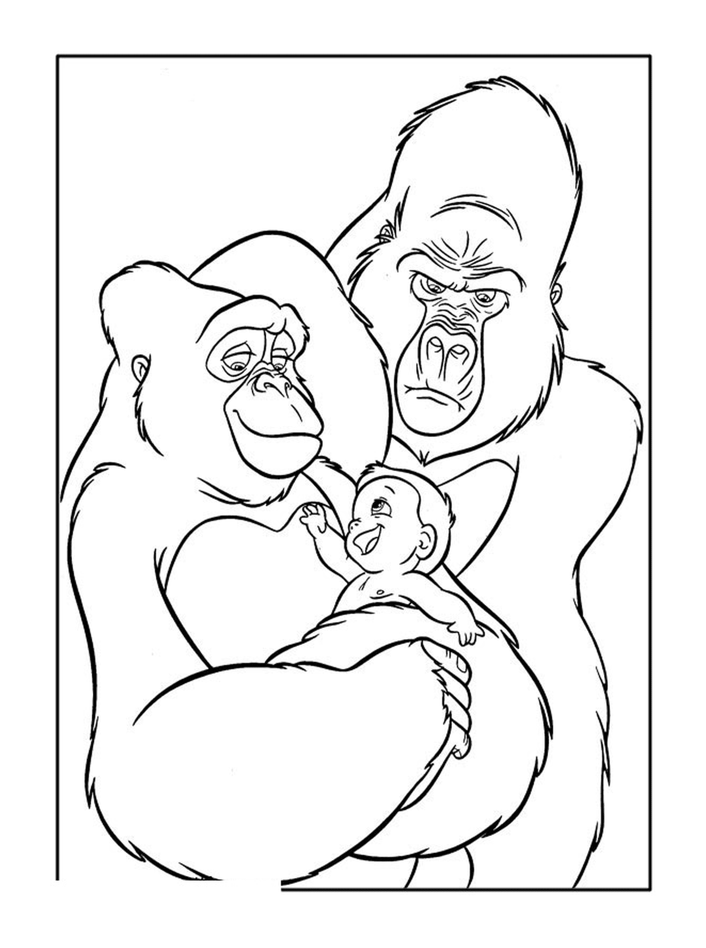  Gorila y su bebé 