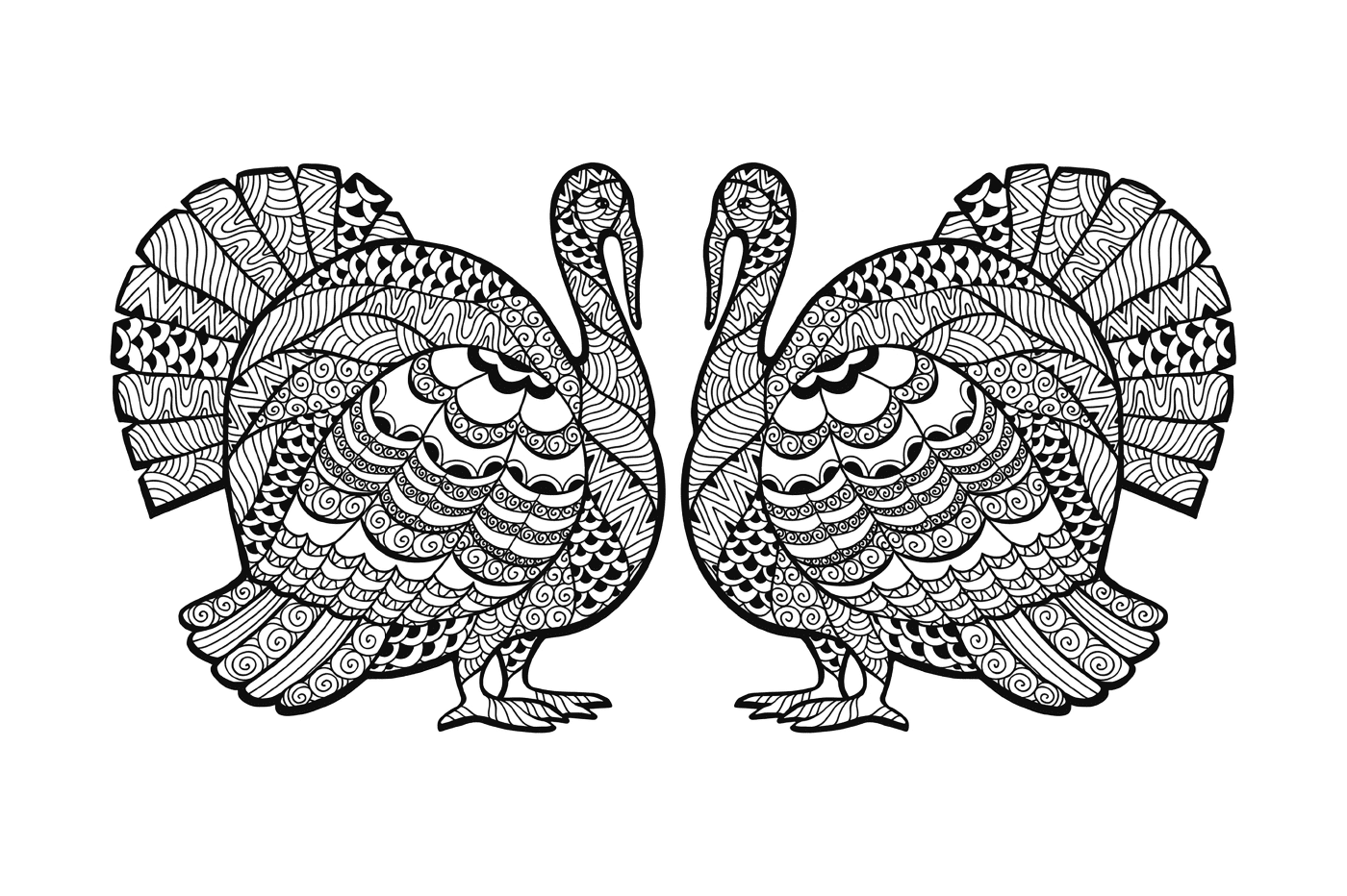  Two turkeys stand side by side 