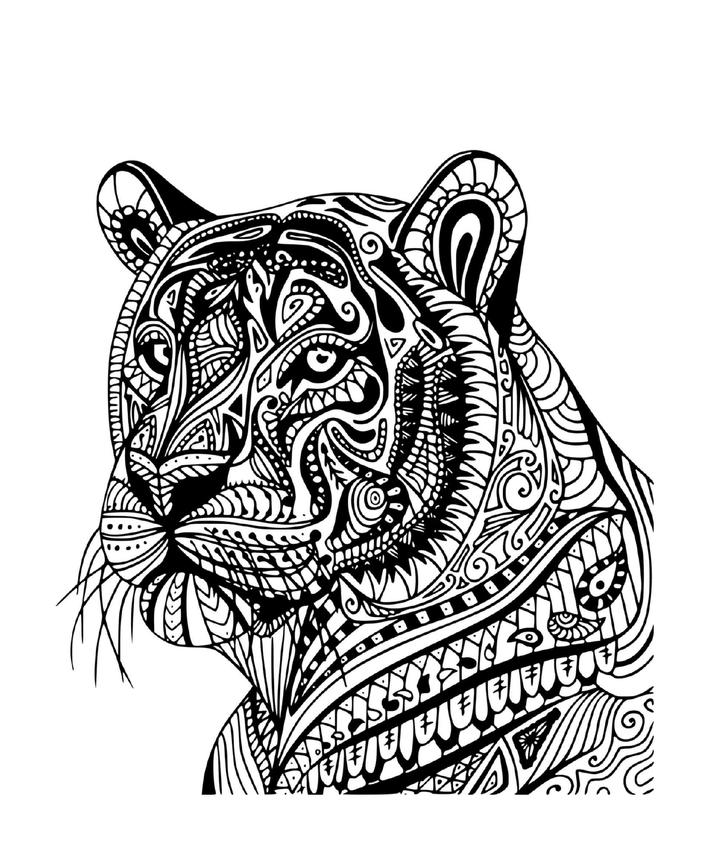  Un tigre adulto de perfil 
