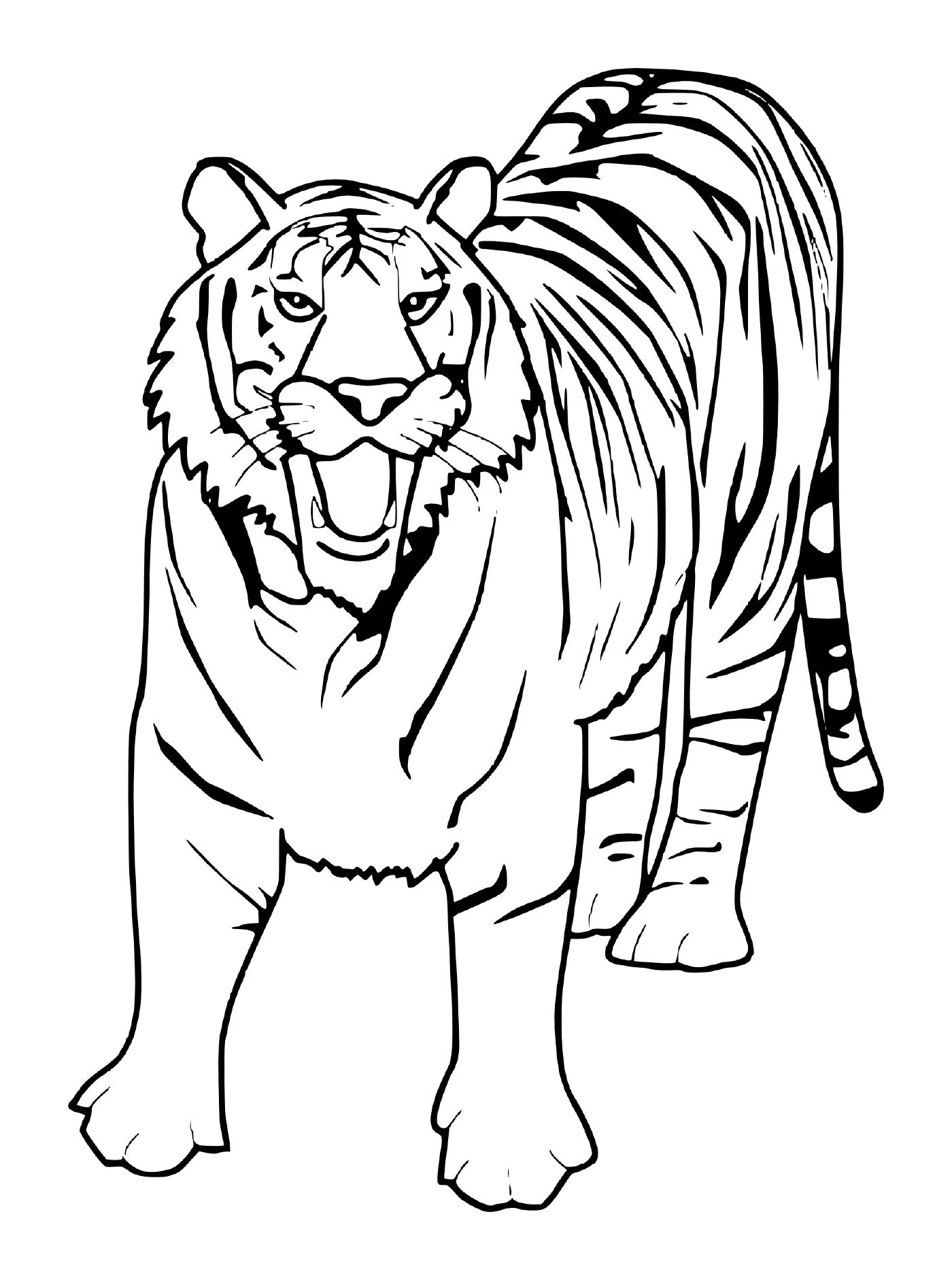  Прекрасный белый тигр 