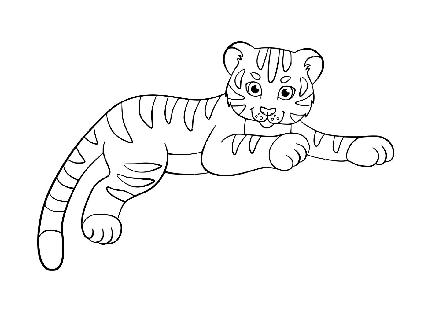  A cute kid's tiger baby 