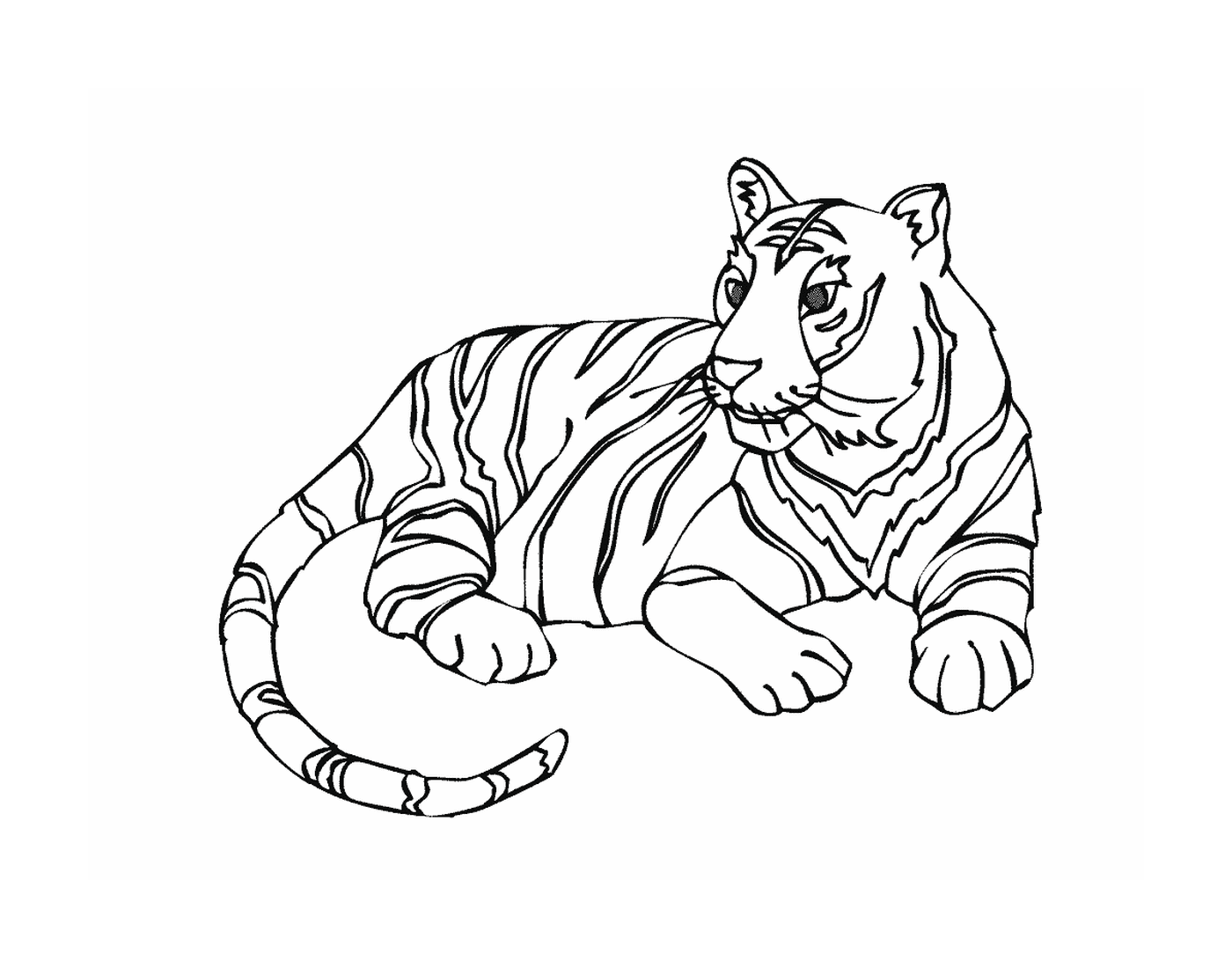  Тигр в саванне 