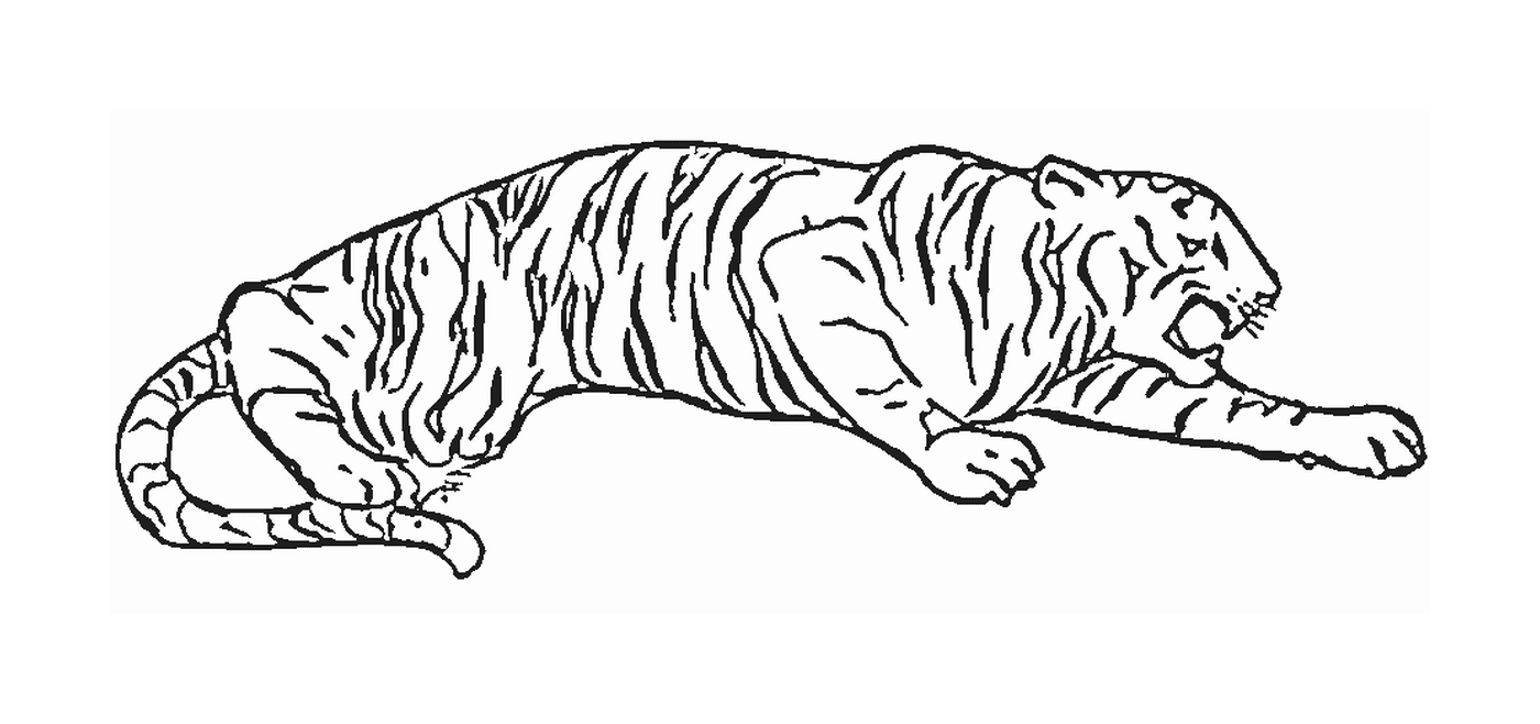 A sleeping tiger 