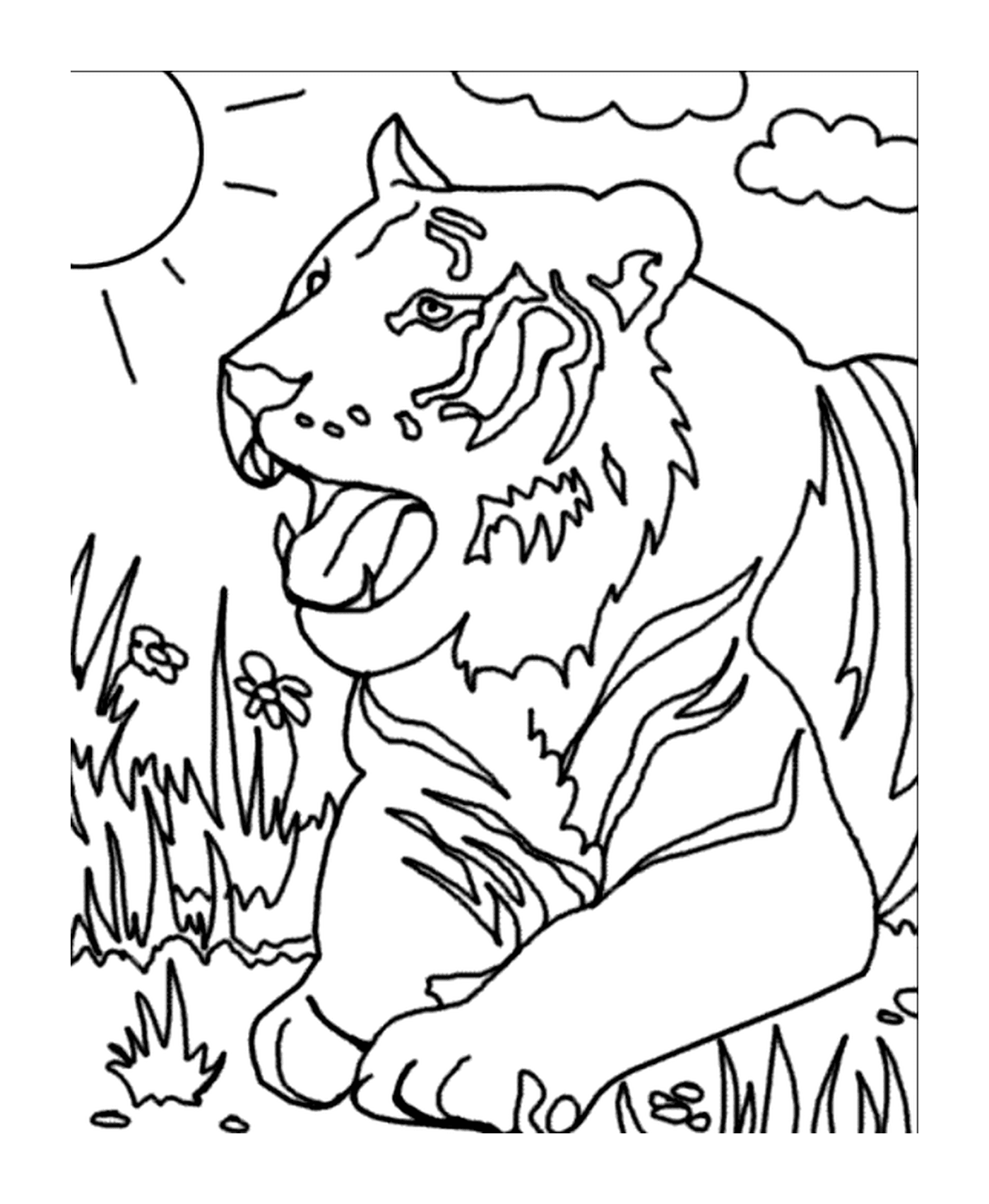  Ein Tiger im Gras 
