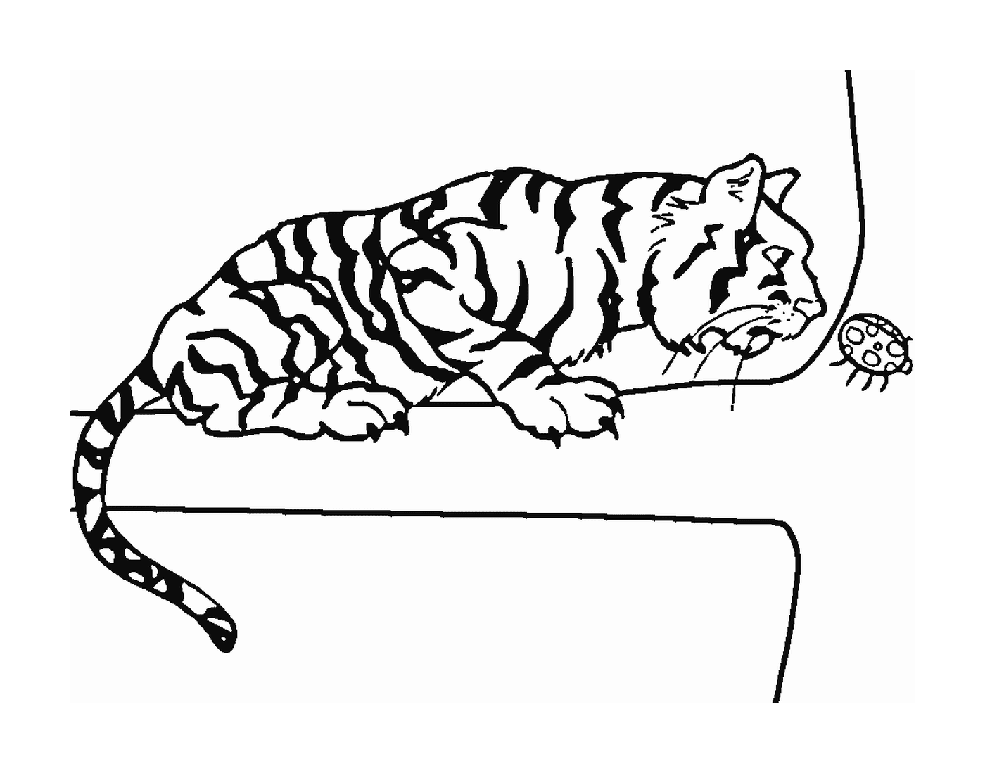  Una tigre su un ramo con una coccinella 