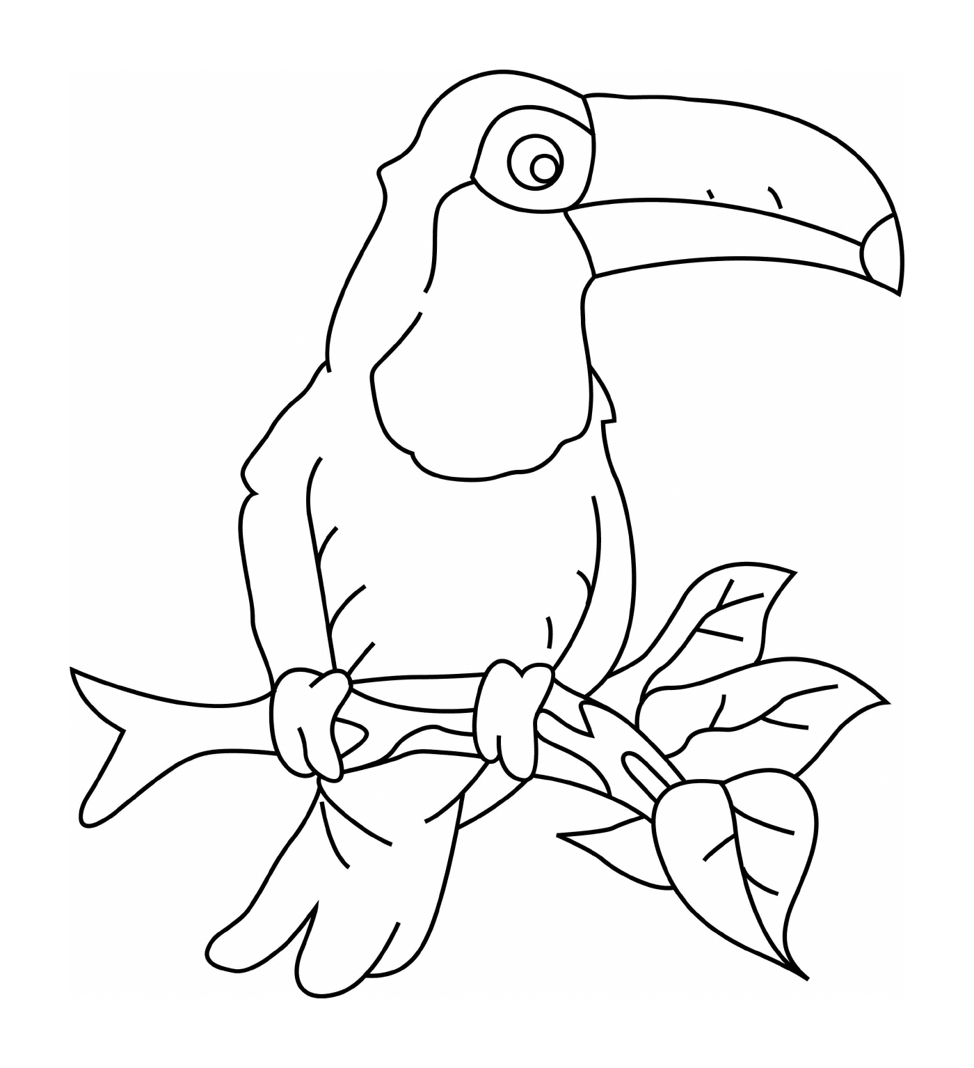  Tukan mit gelbem Schnabel und schwarzem Fleck 