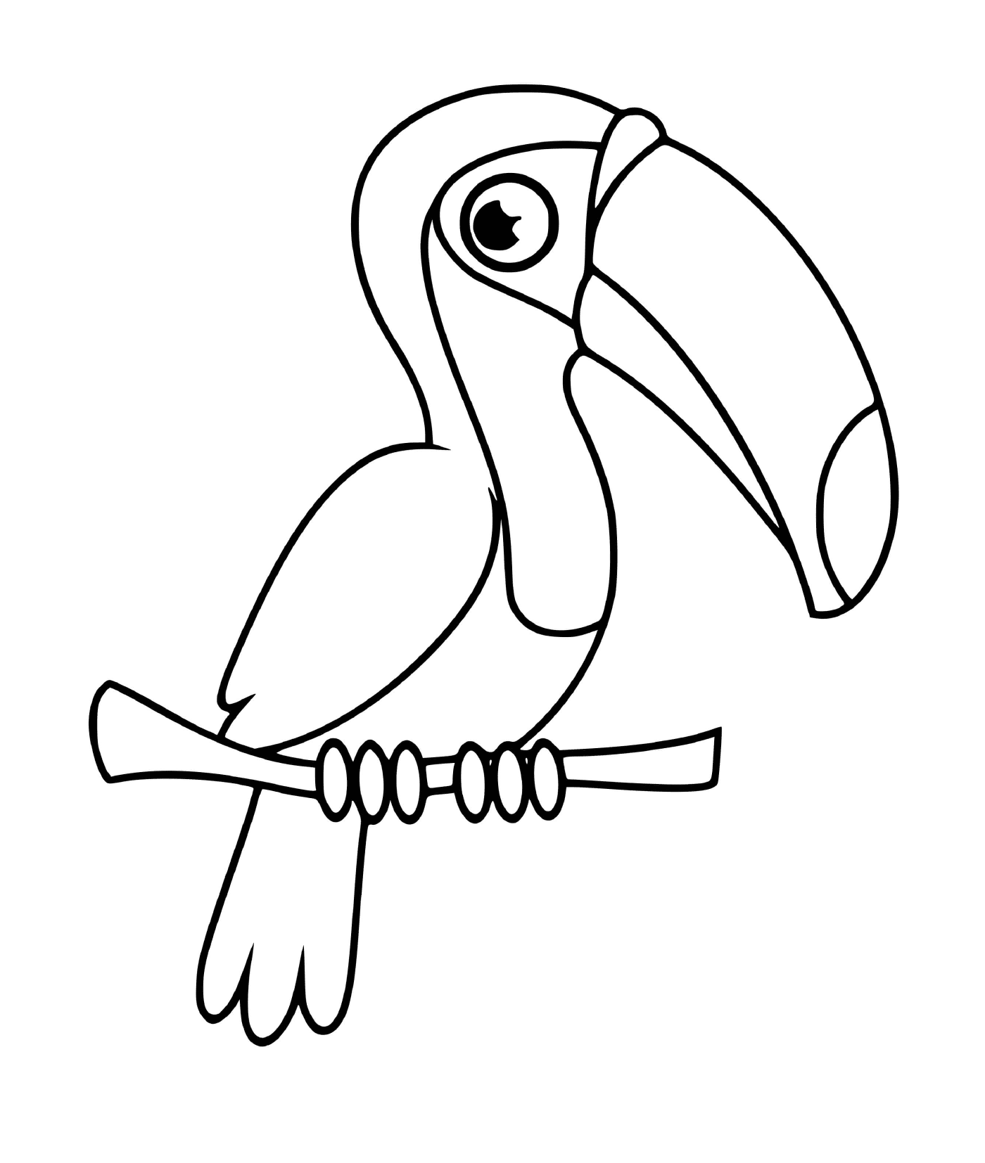  Toucan sitting on a branch 
