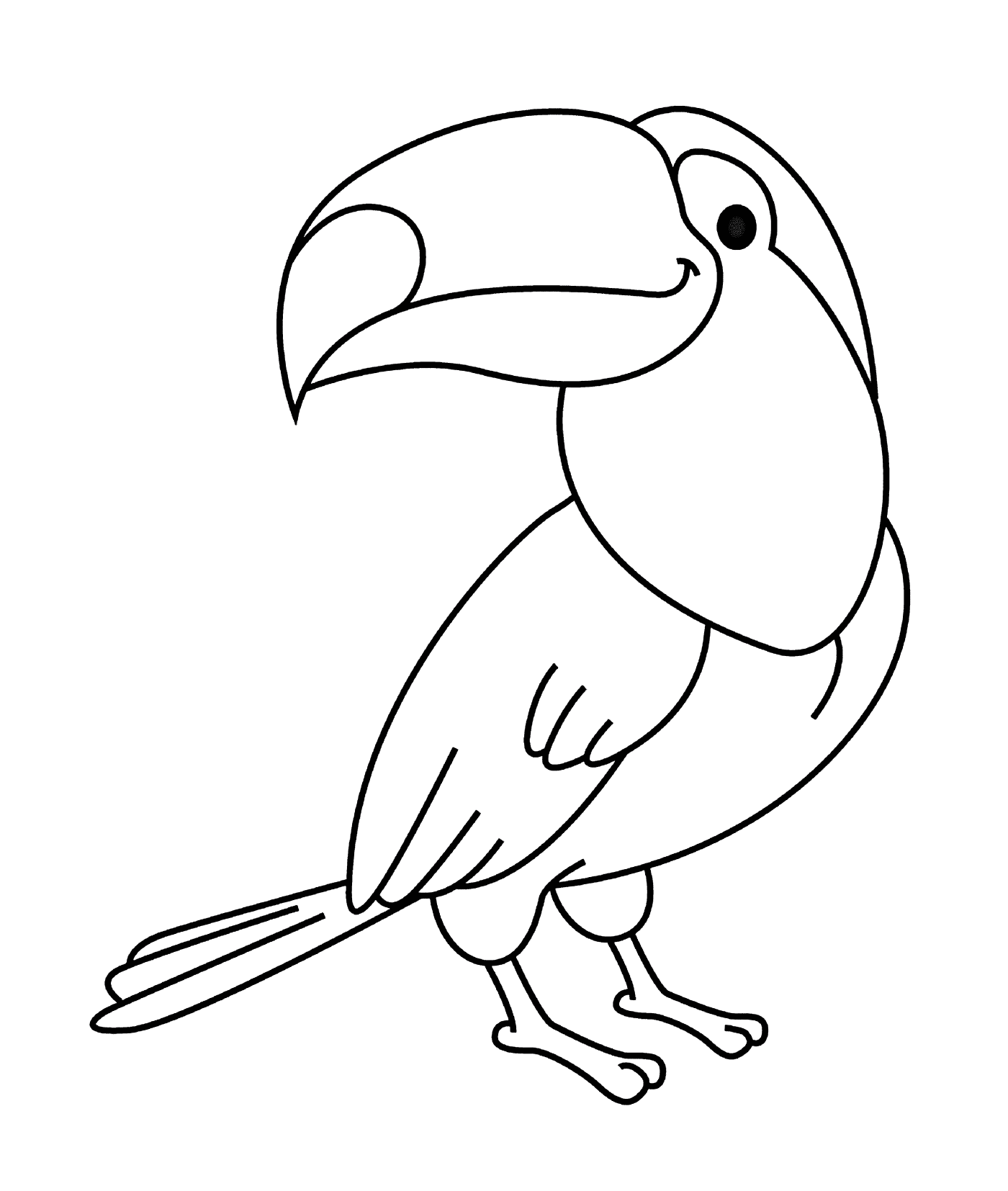  Туканская птица 